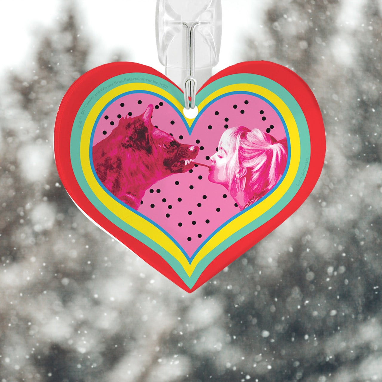 Birds of Prey (True Love) Heart-Shaped Acrylic Print ACPHEART564