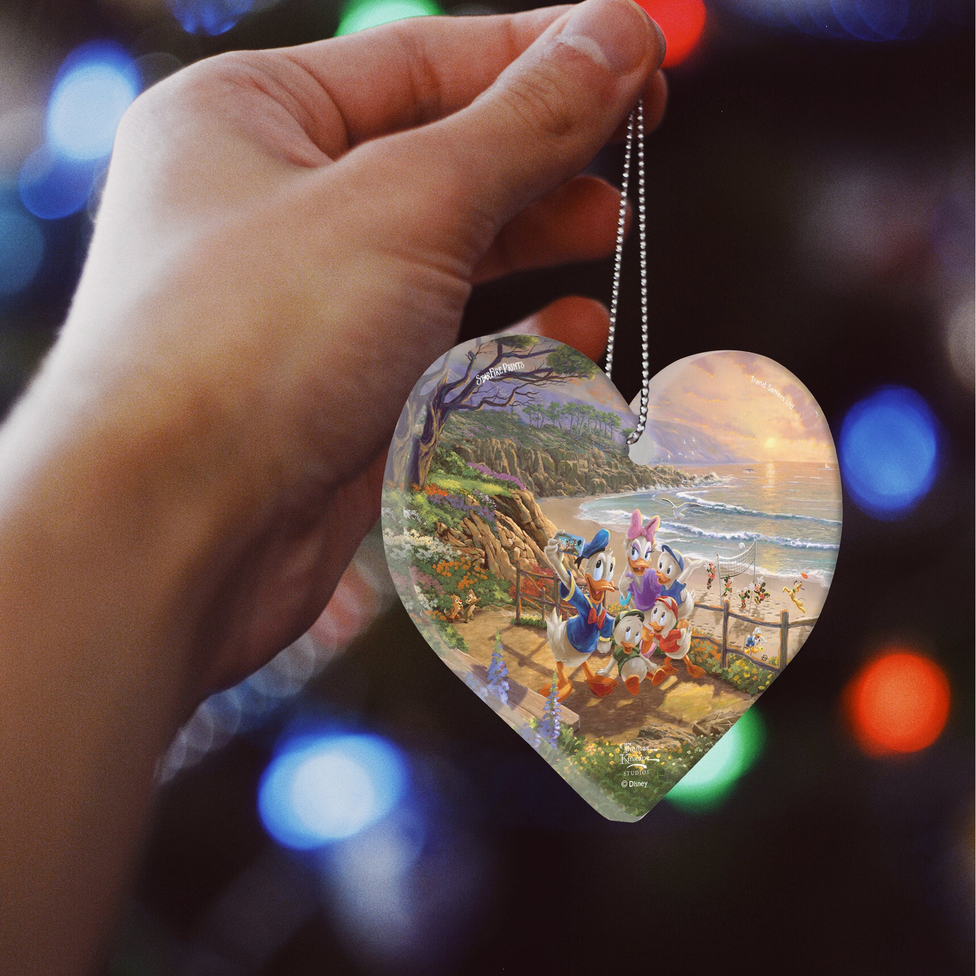 Disney (Donald and Daisy - A Duck Day Afternoon) Hanging Acrylic Print ACPHEART615