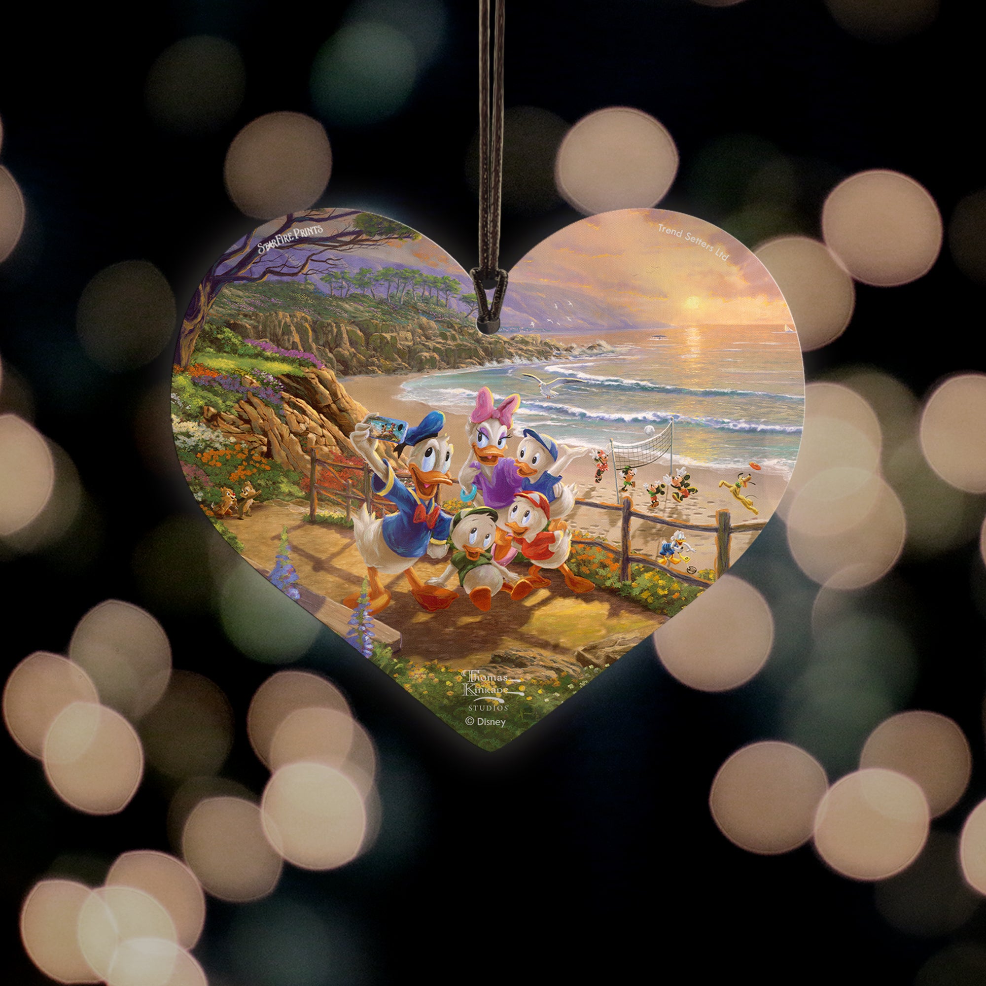 Disney (Donald and Daisy - A Duck Day Afternoon) Hanging Acrylic Print ACPHEART615