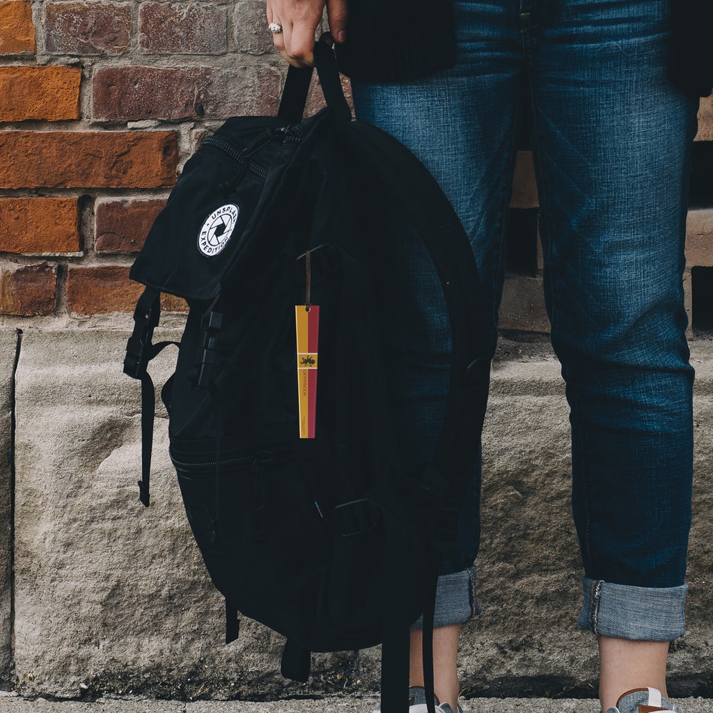 Harry Potter (Gryffindor House) Icicle-Shaped Acrylic Print ACPICICLE491