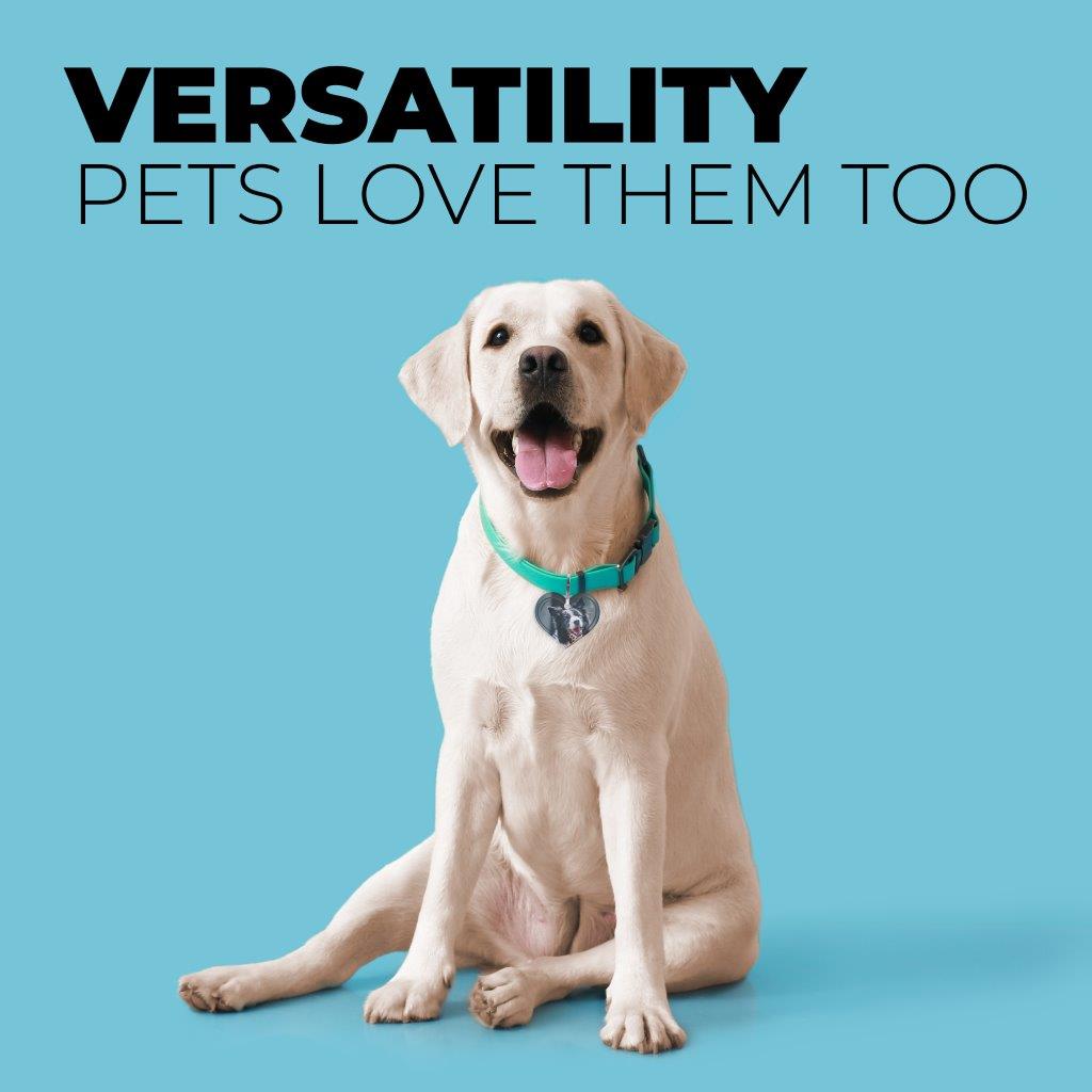 Trend Setters Original (Pet Paws) Personalized Heart Shaped Acrylic Keychain ACPKRHEARTU890