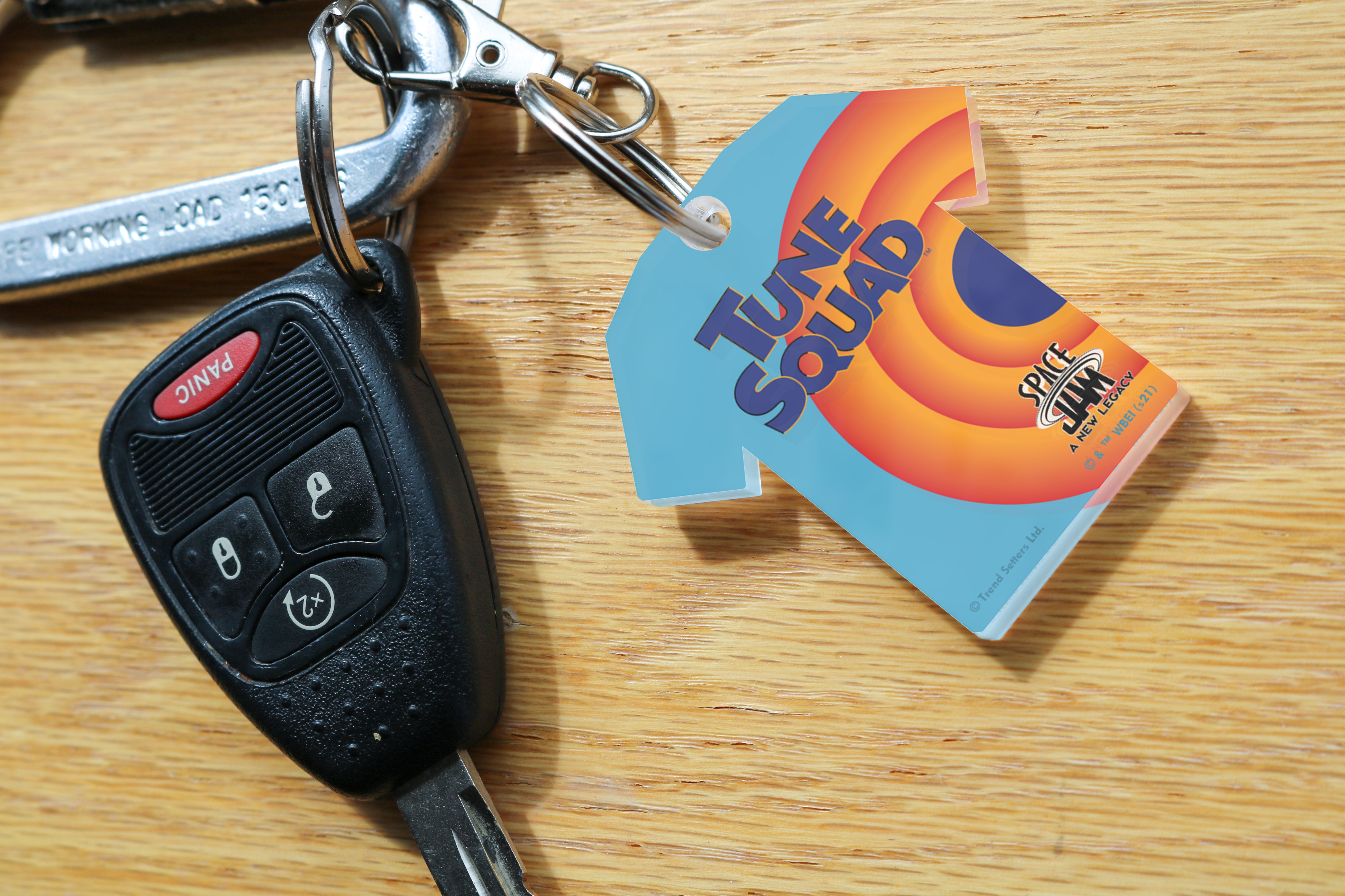 Space Jam: A New Legacy (Toon Squad Jersey) Acrylic Keychain ACPKRJERSEY646