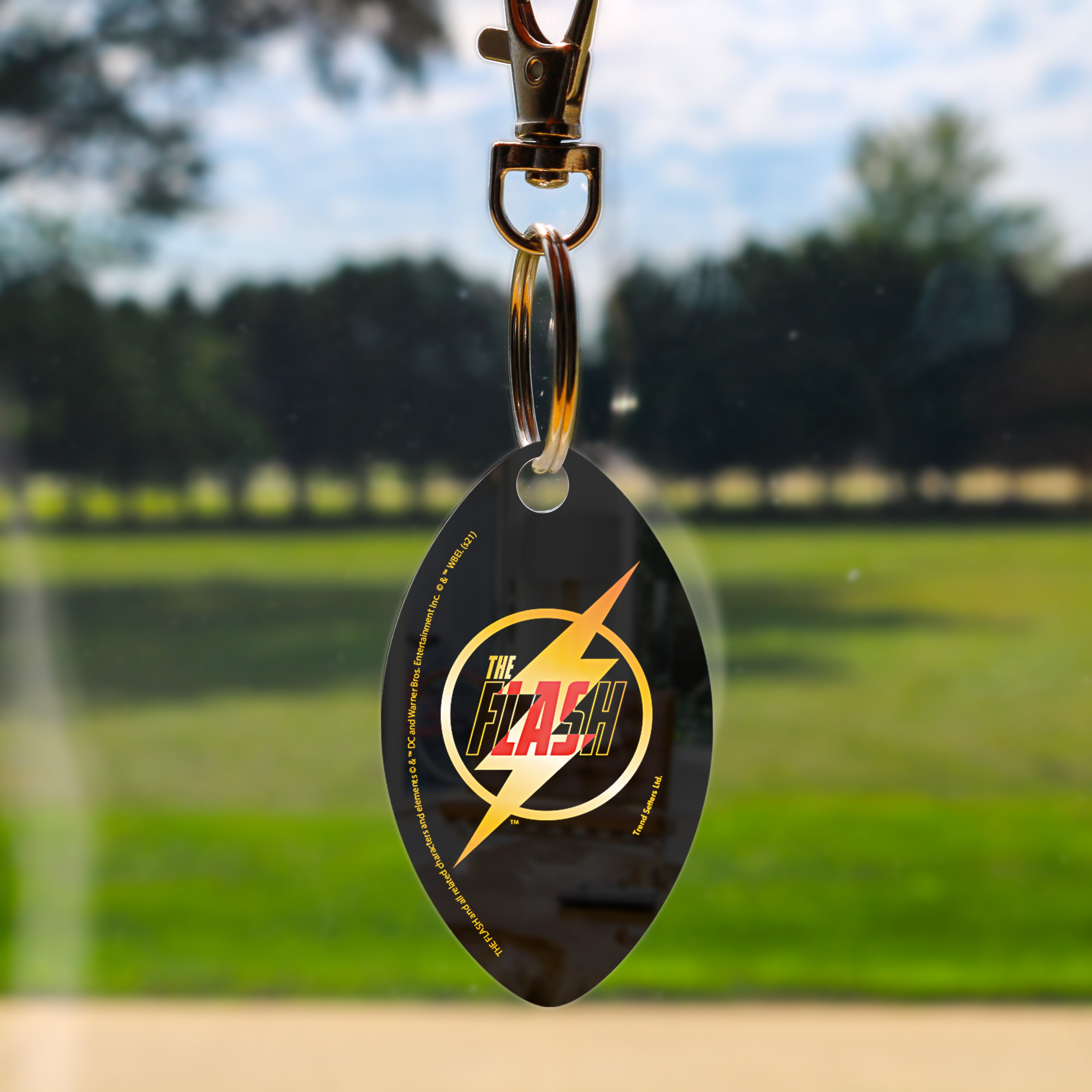 The Flash (The Flash) Oval Shaped Acrylic Keychain ACPKROVAL721
