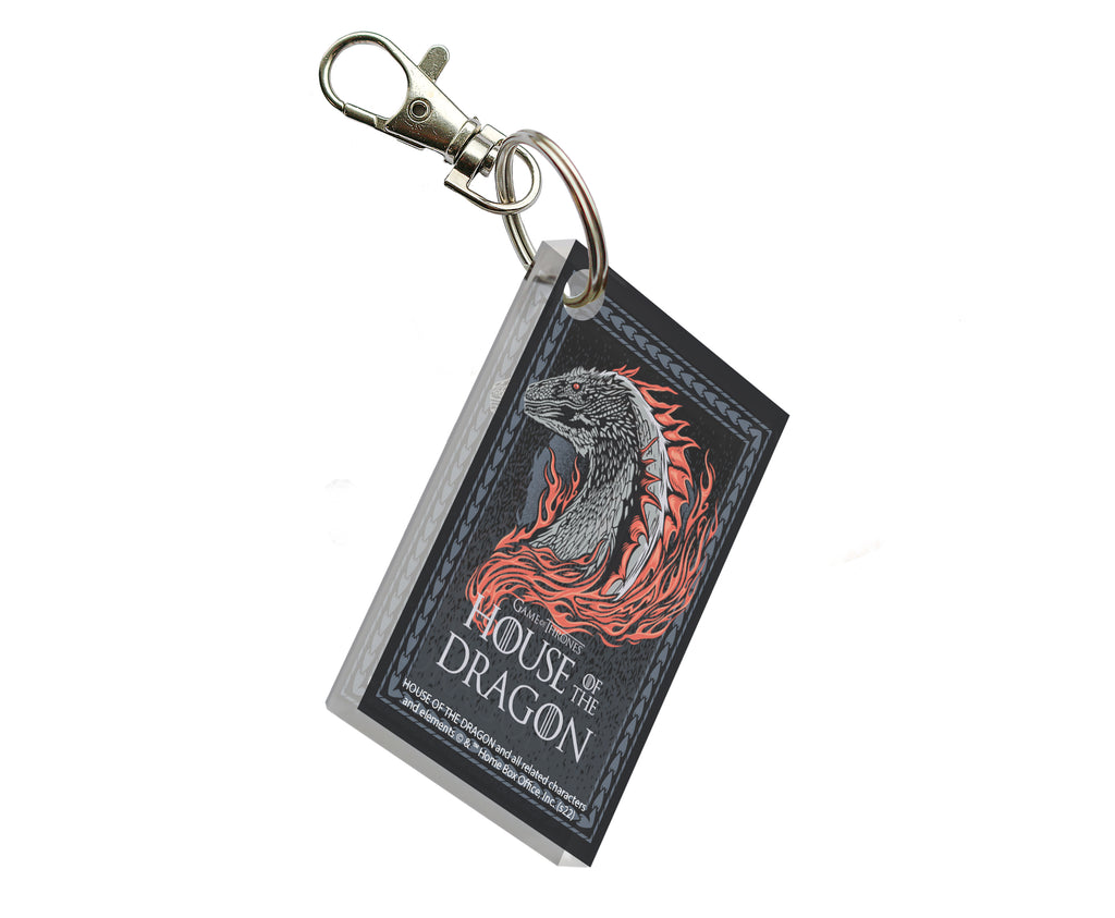 House of the Dragon (Dragon Head) Rectangle Shaped Acrylic Print Keychain ACPKRREC752