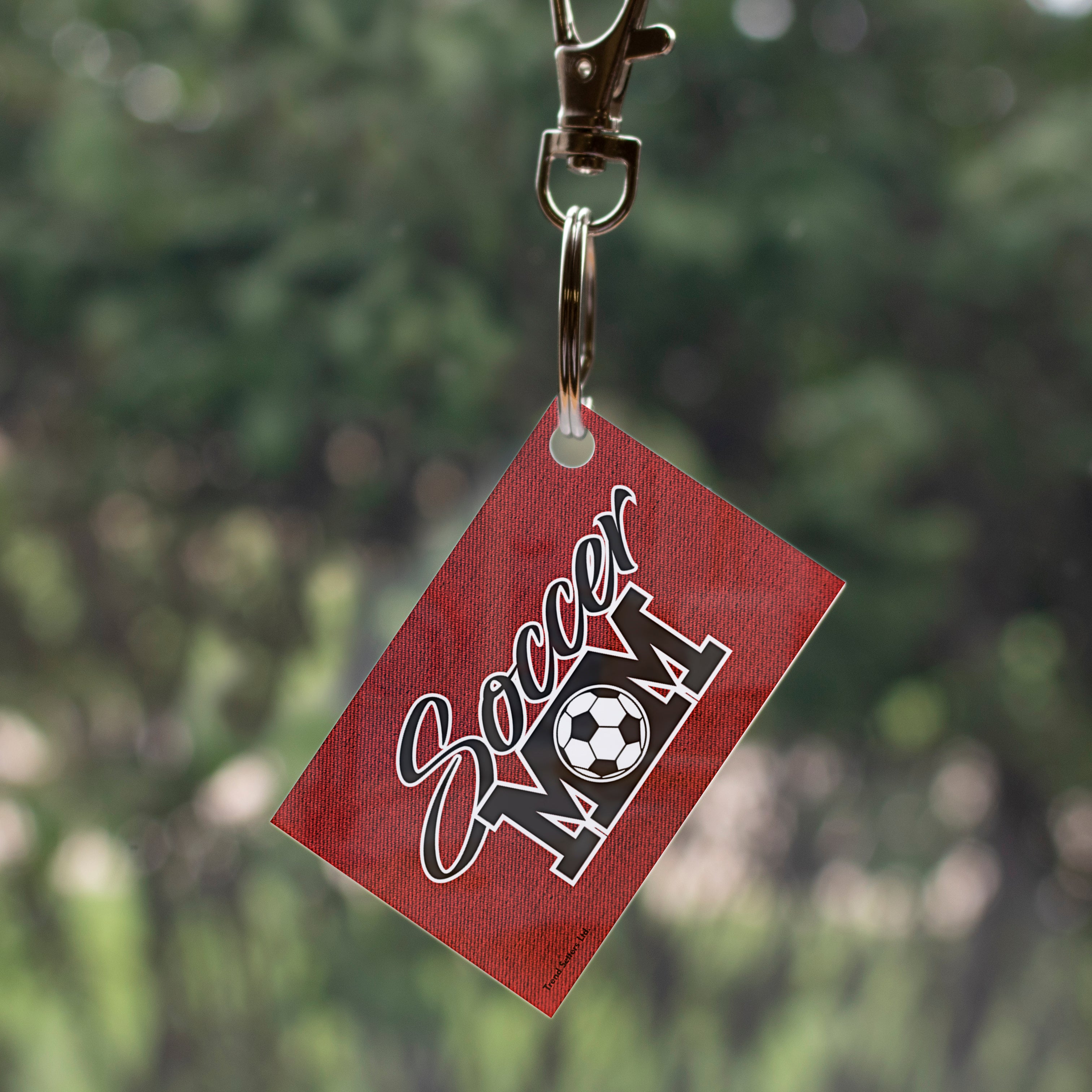 Sports Collection (Softball Dad) Acrylic Keychain ACPKRCIR559