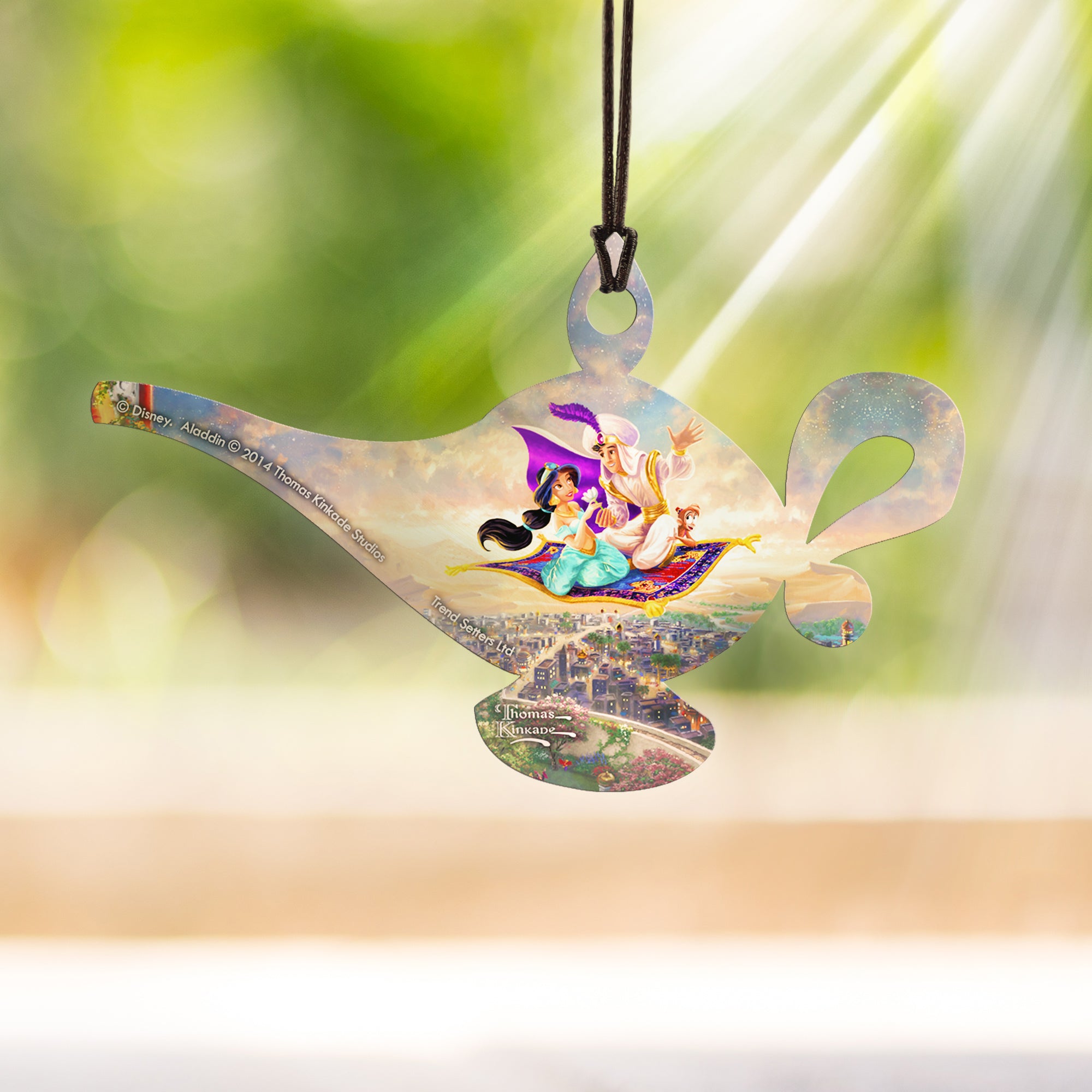 Disney (Aladdin) Hanging Acrylic Print ACPLAMP183