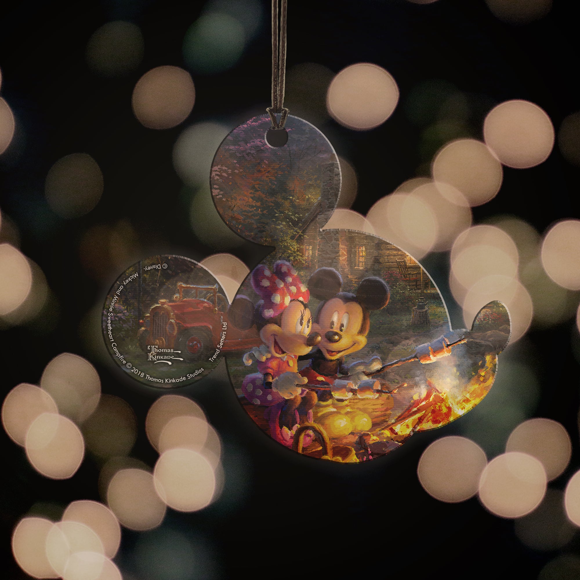 Disney (Mickey and Minnie Sweetheart Campfire) Hanging Acrylic Print ACPMICKEY335