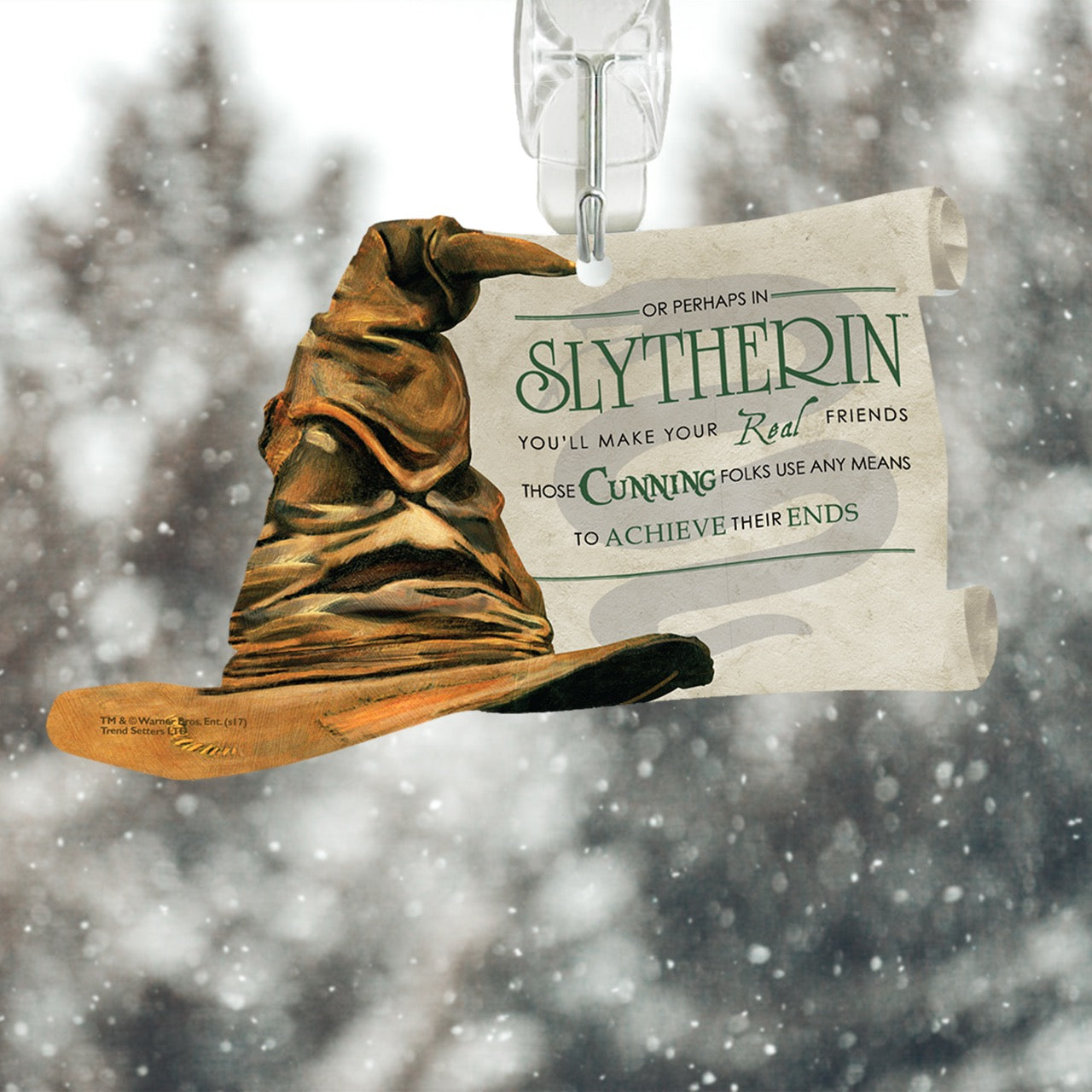 Harry Potter (Sorting Hat – Slytherin) Sorting Hat and Scroll-Shaped Acrylic Print ACPSORT287