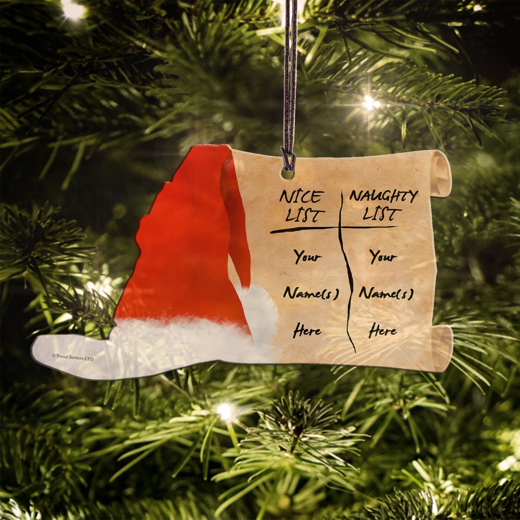 Christmas (Naughty and Nice - Personalized) Hanging Acrylic Print ACPSORT318