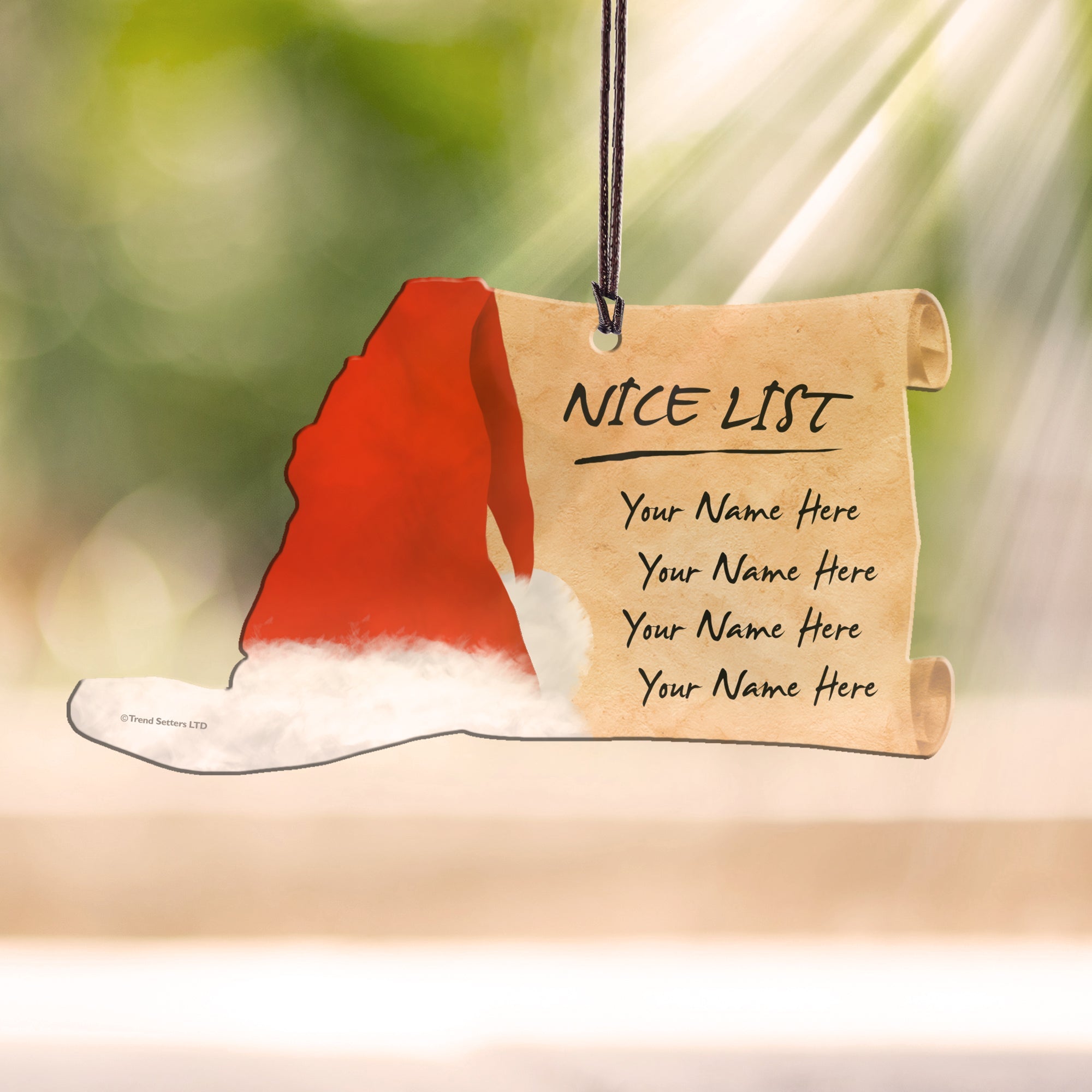 Christmas (Naughty and Nice List - Personalized) Hanging Acrylic Print ACPSORT319A