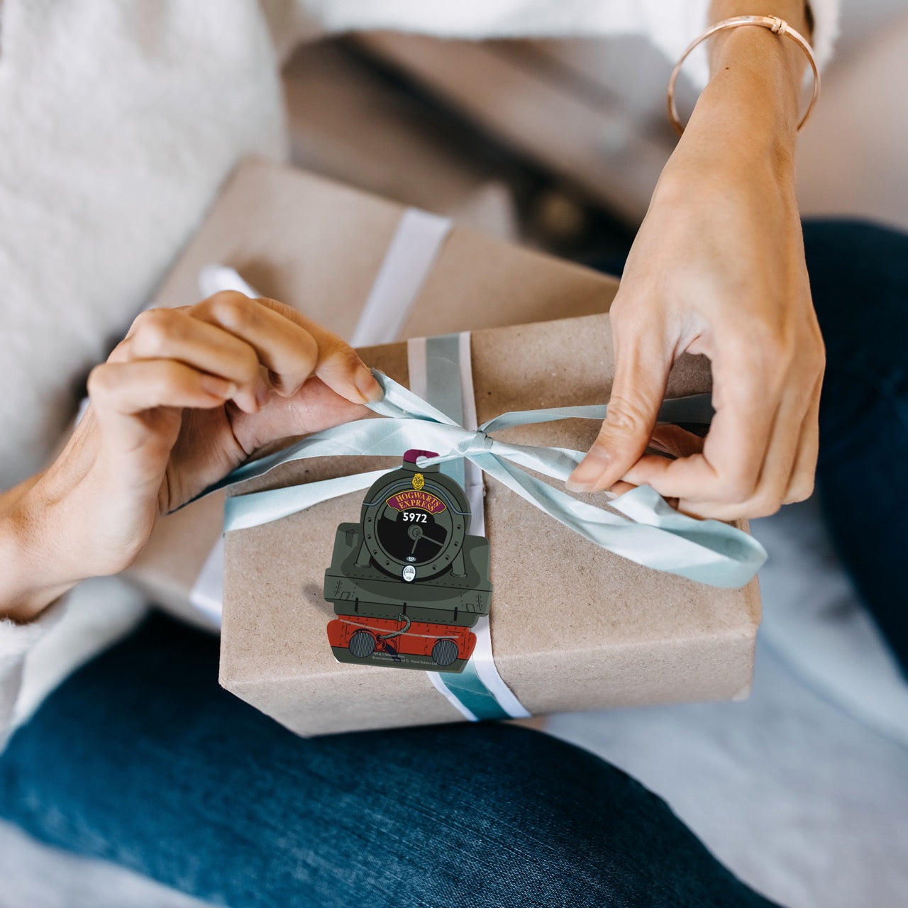 Harry Potter (Hogwarts Express) Train-Shaped Acrylic Print ACPTRAIN244