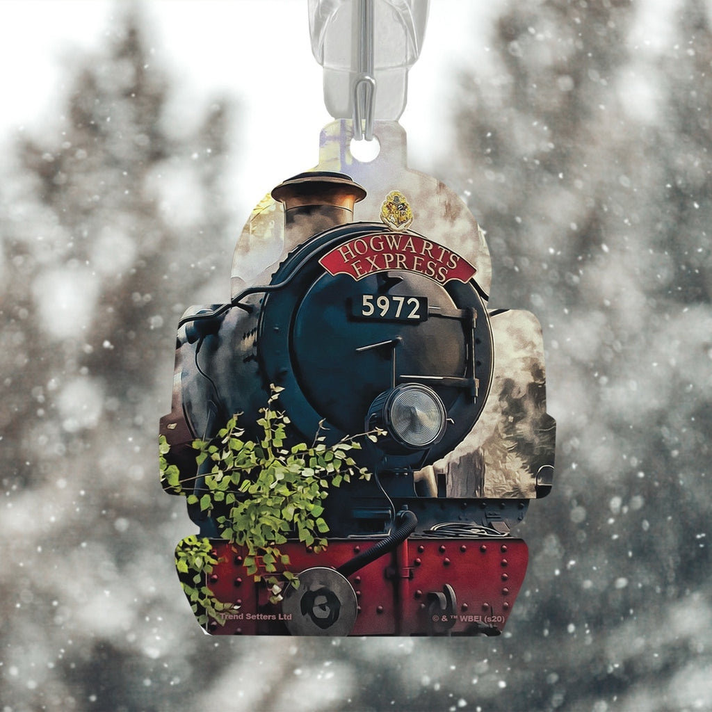 Harry Potter (Hogwarts Express) Train-Shaped Acrylic Print ACPTRAIN612