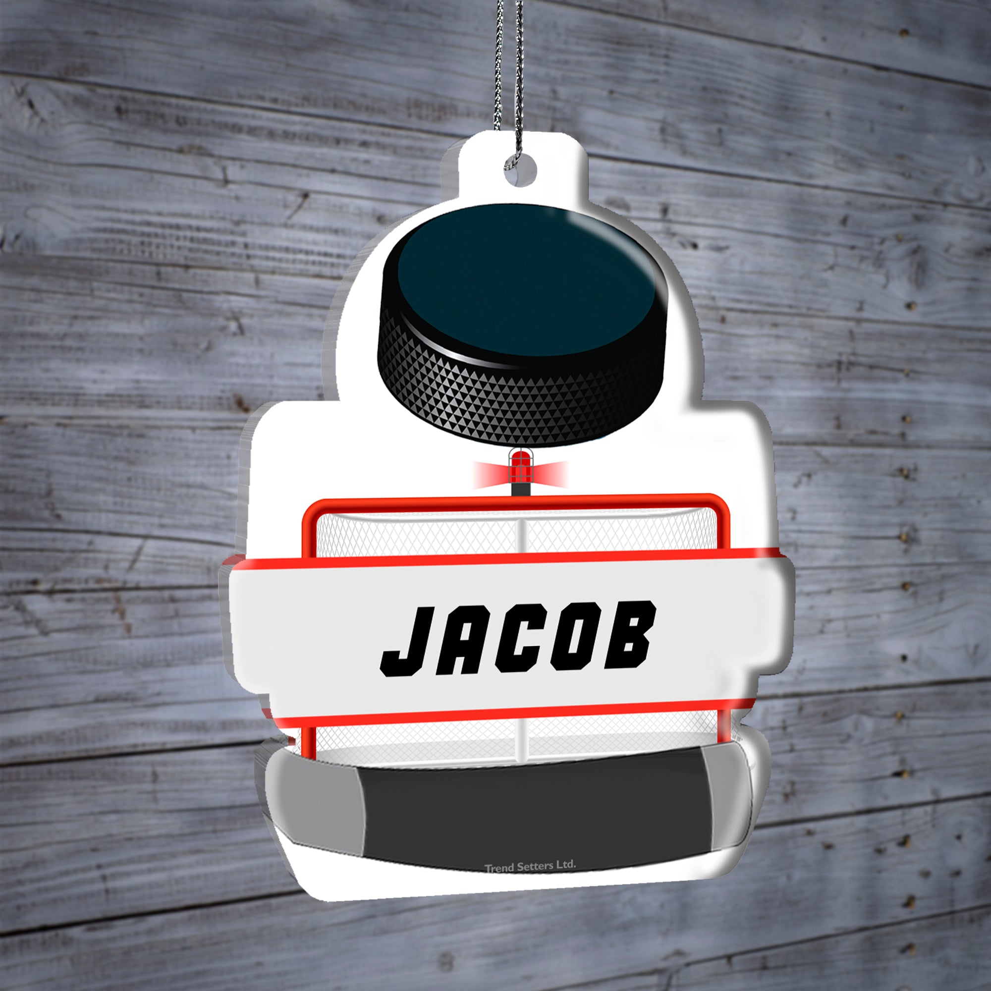 Sports Collection (Hockey Goal - Personalized) Hanging Shaped Acrylic Print