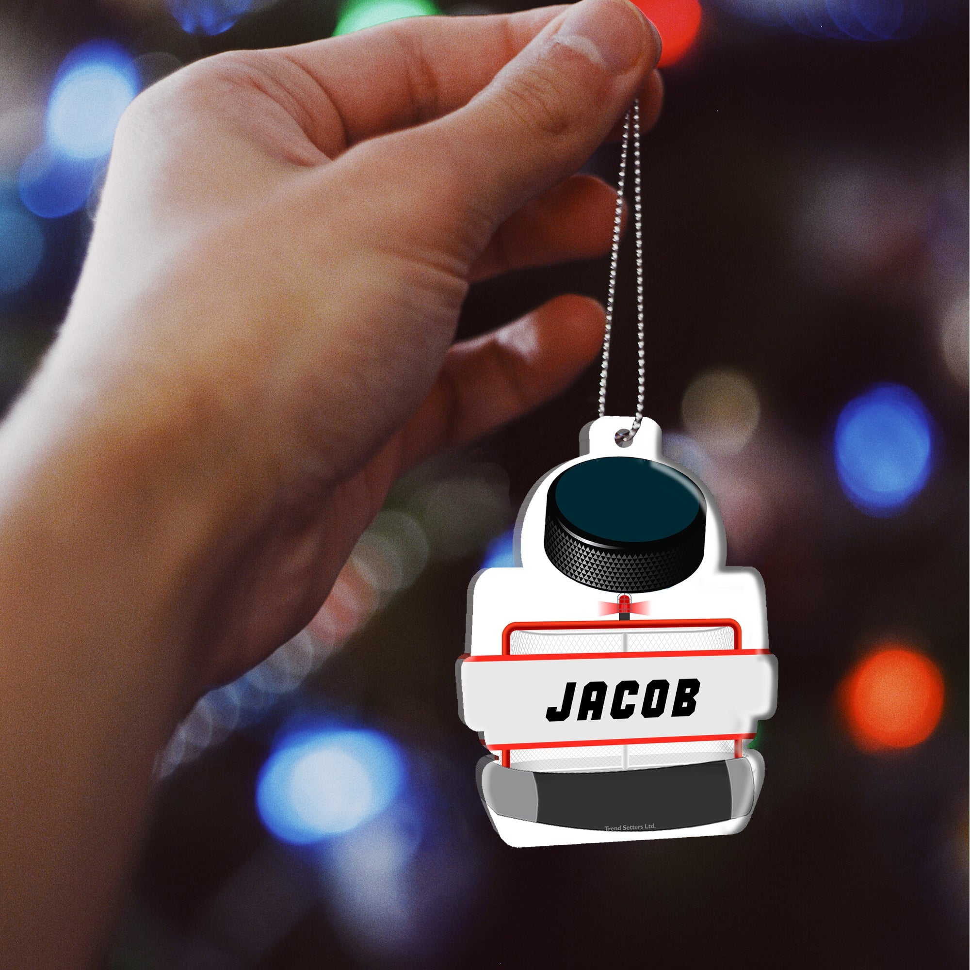 Sports Collection (Hockey Goal - Personalized) Hanging Shaped Acrylic Print