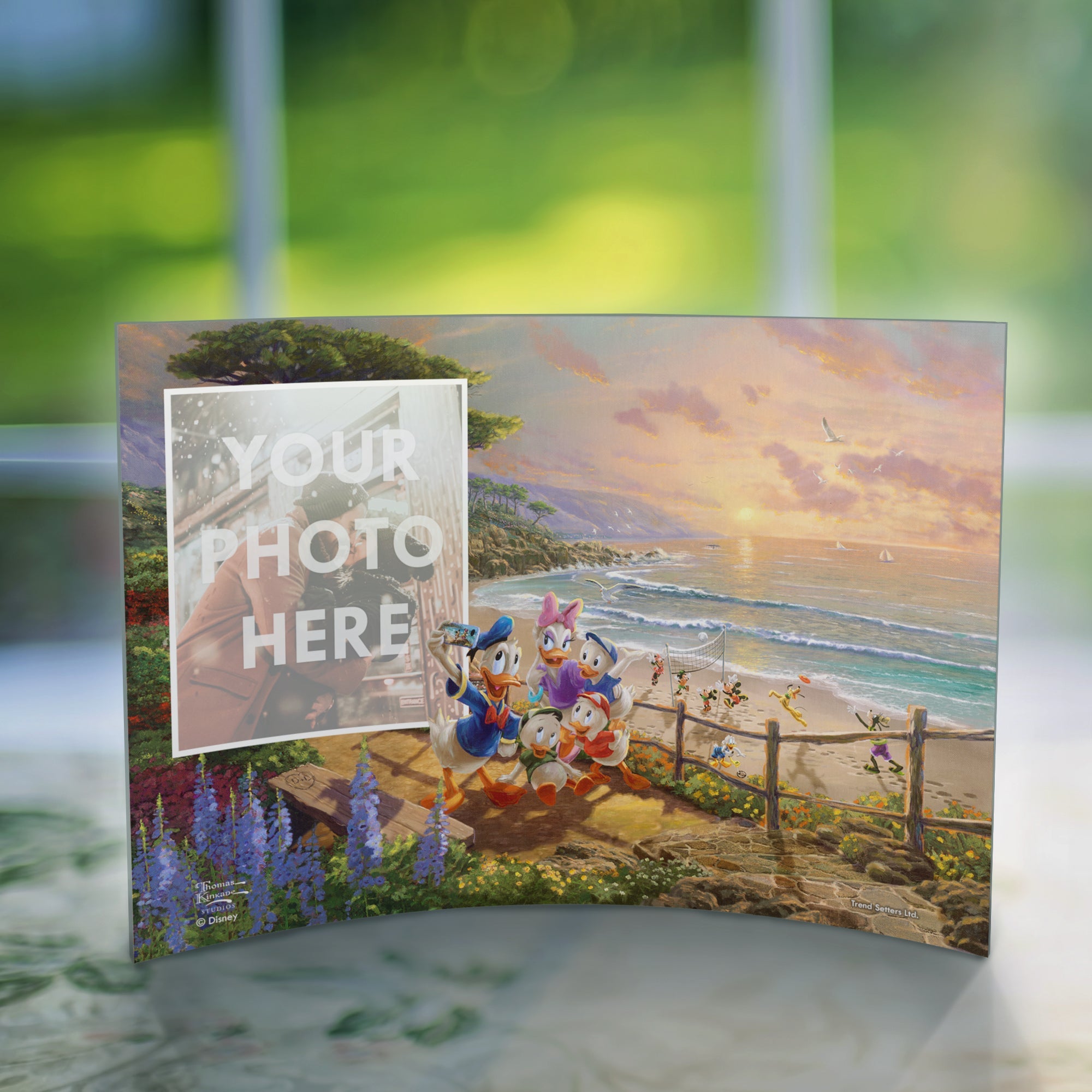 Disney (Donald and Daisy - A Duck Day Afternoon - Add Your Photo!) 10" x 7" Curved Acrylic Print ACPU1007CUR617