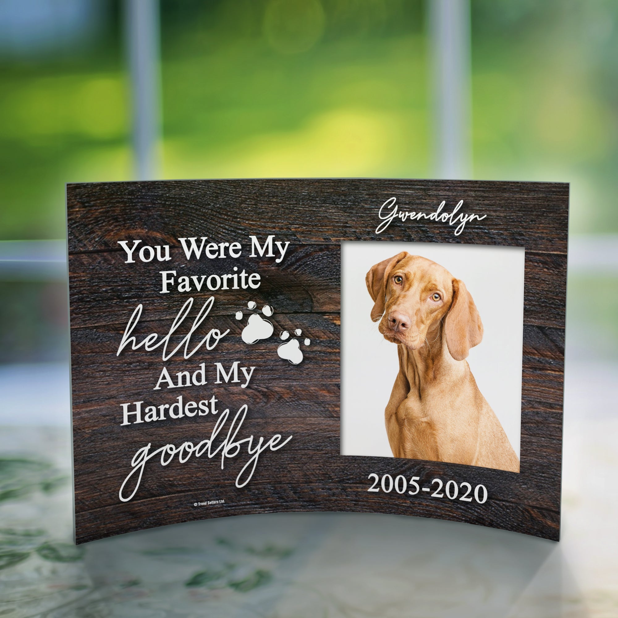 Pet Collection (Pet Memorial- Personalized)  10" x 7" Curved Acrylic Print