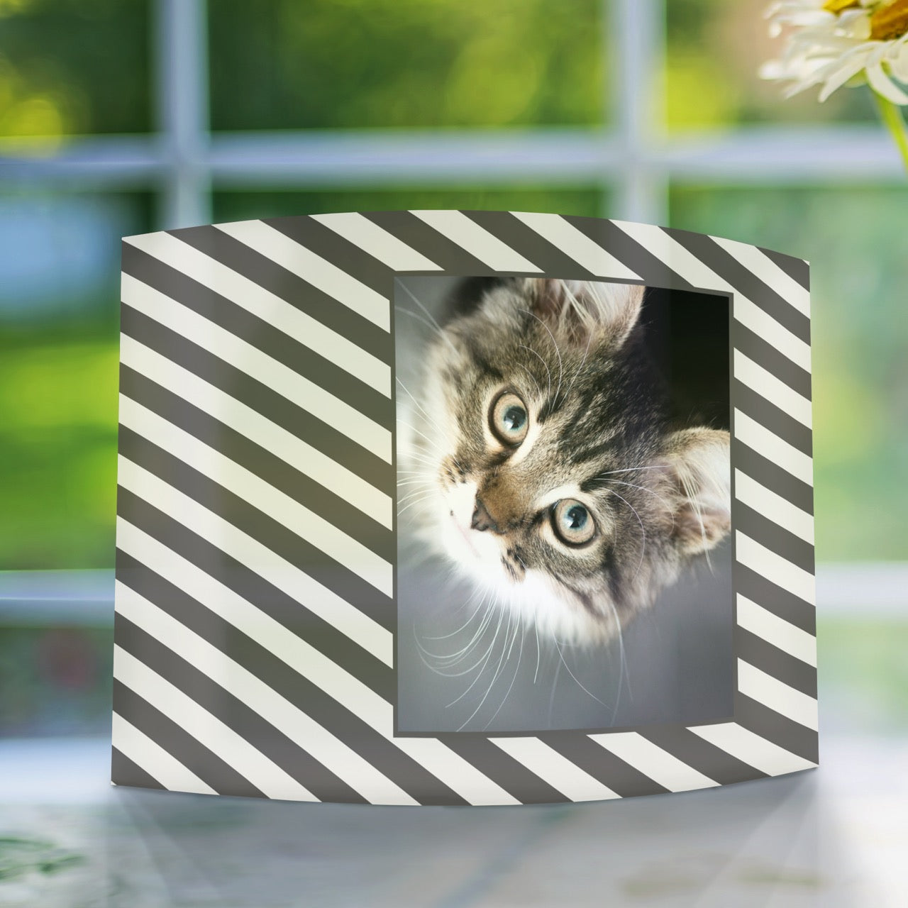 Trend Setters Original (Patterns - Left Photo Upload) 10 x 7 Curved Acrylic Print