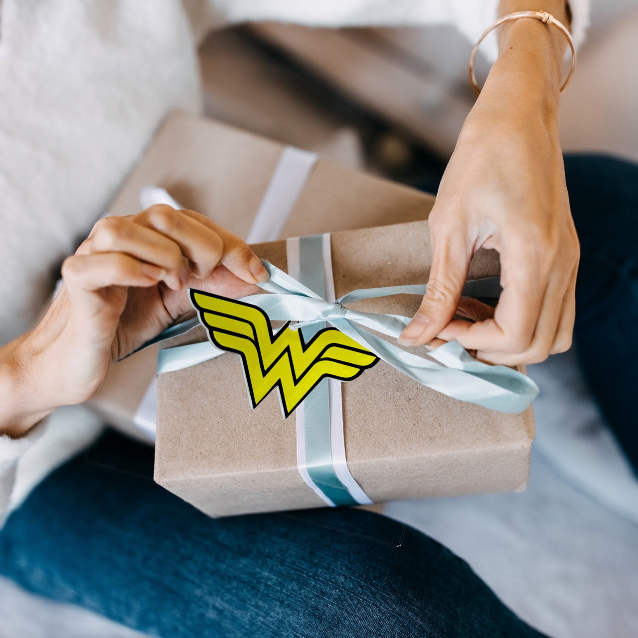 DC Comics (Wonder Woman Classic Logo) Wonder Woman Emblem-Shaped Acrylic Print ACPWW269