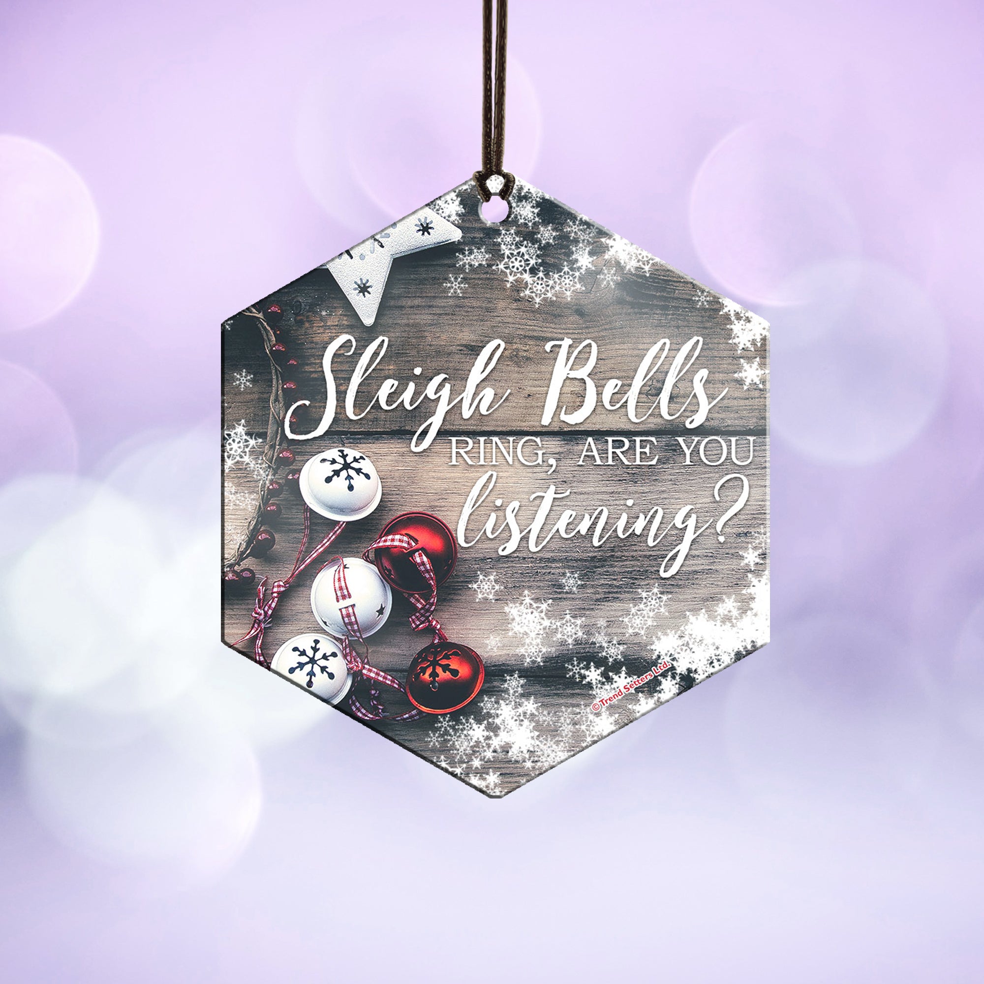 Sleigh Bells Hanging Metal Print AMHEX081