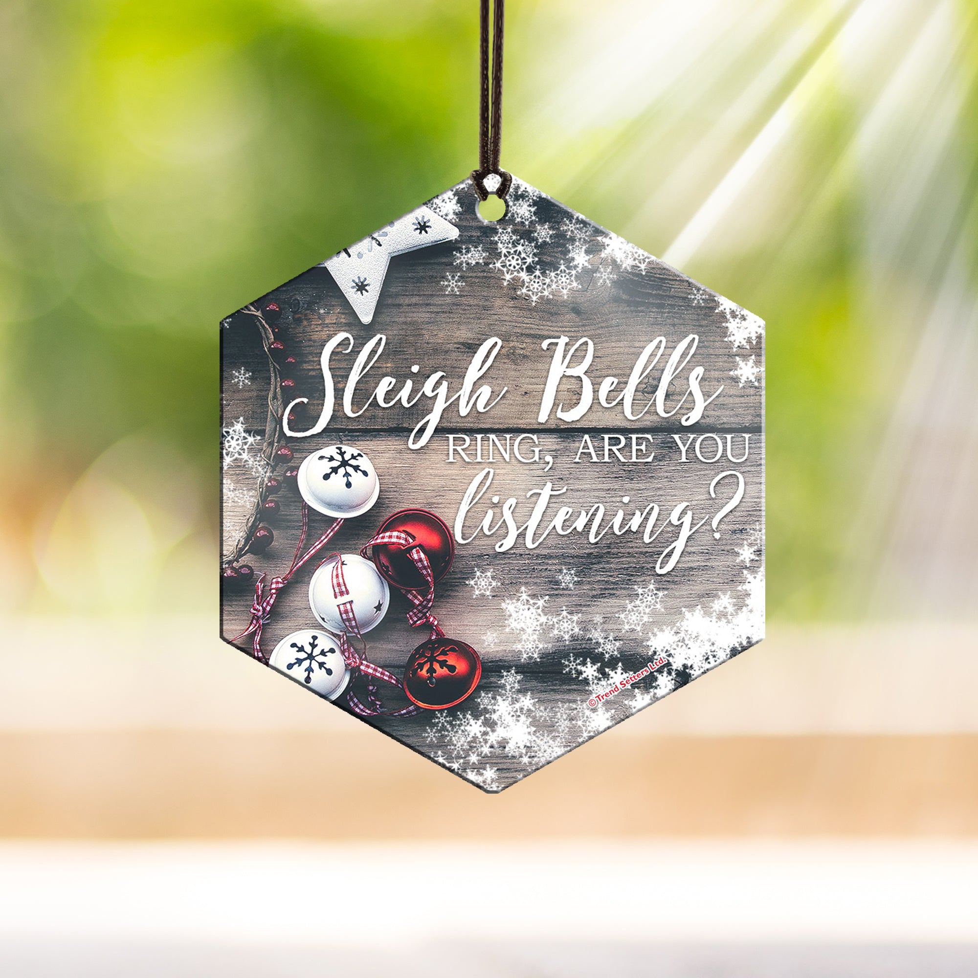 Sleigh Bells Hanging Metal Print AMHEX081