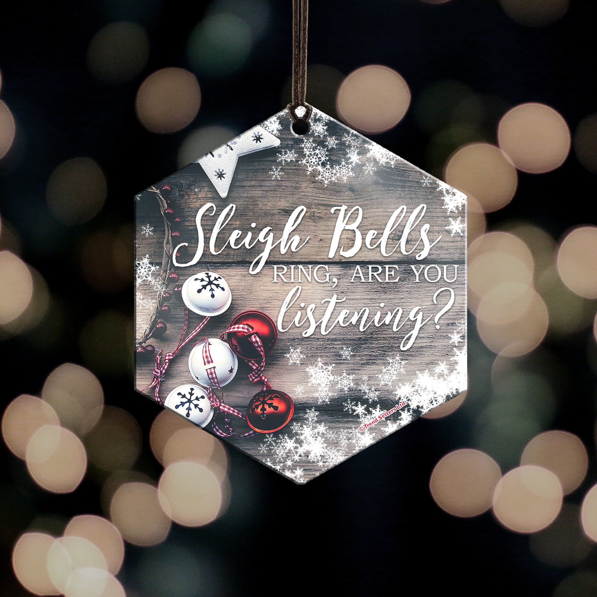 Sleigh Bells Hanging Metal Print AMHEX081