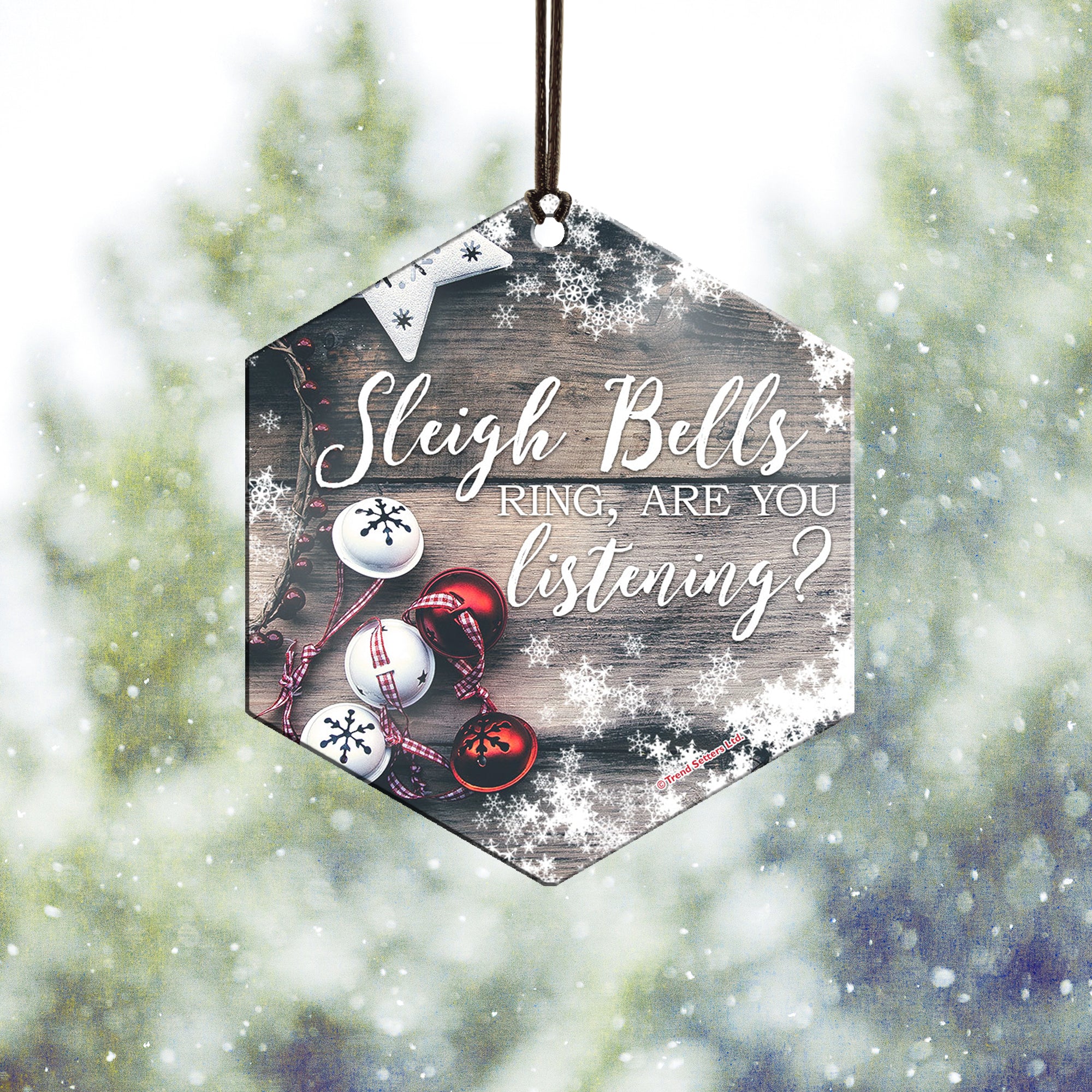 Sleigh Bells Hanging Metal Print AMHEX081