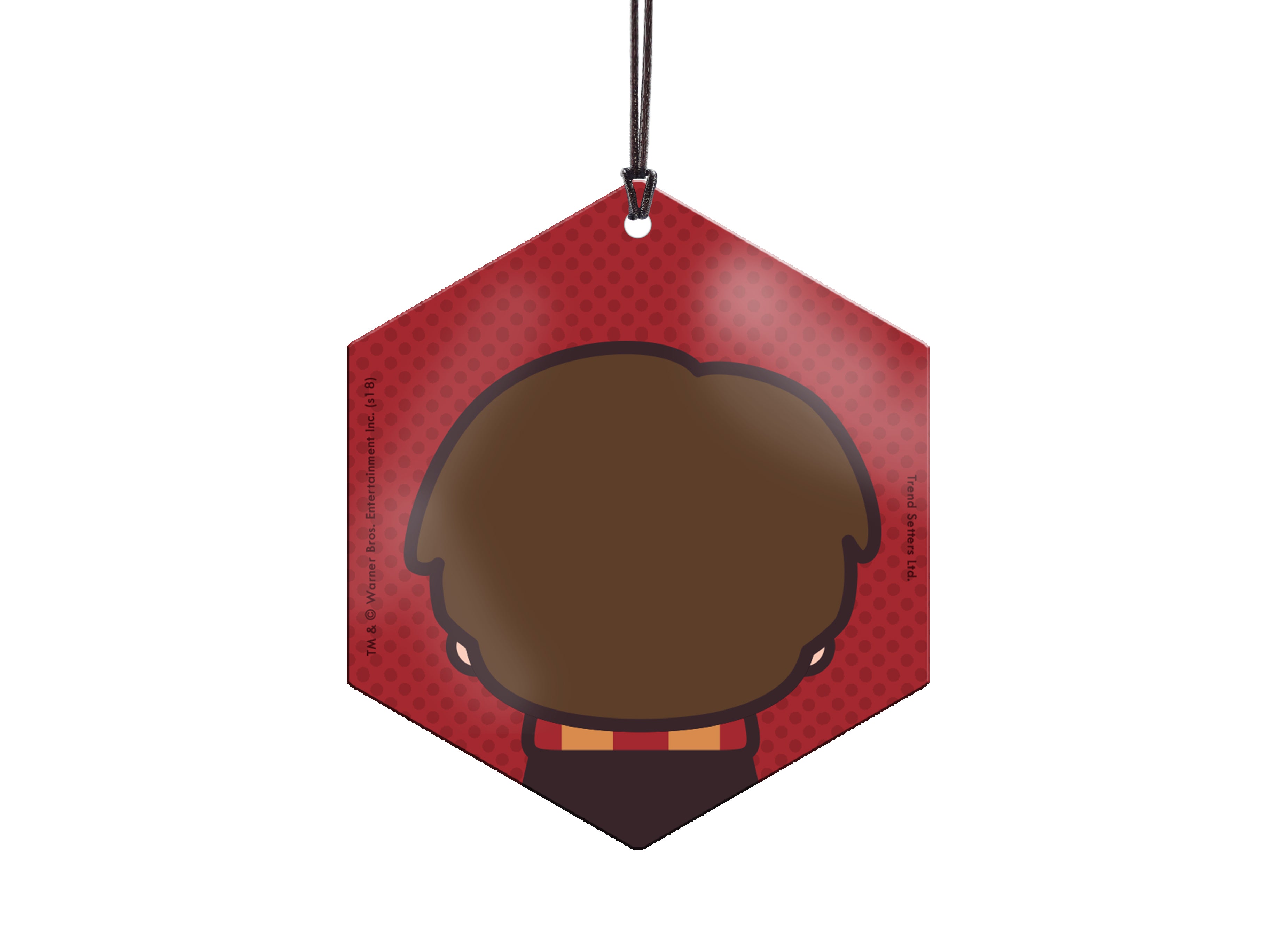 Harry Potter (Harry Potter - Chibi Cartoon) Hanging Metal Print AMHEX091