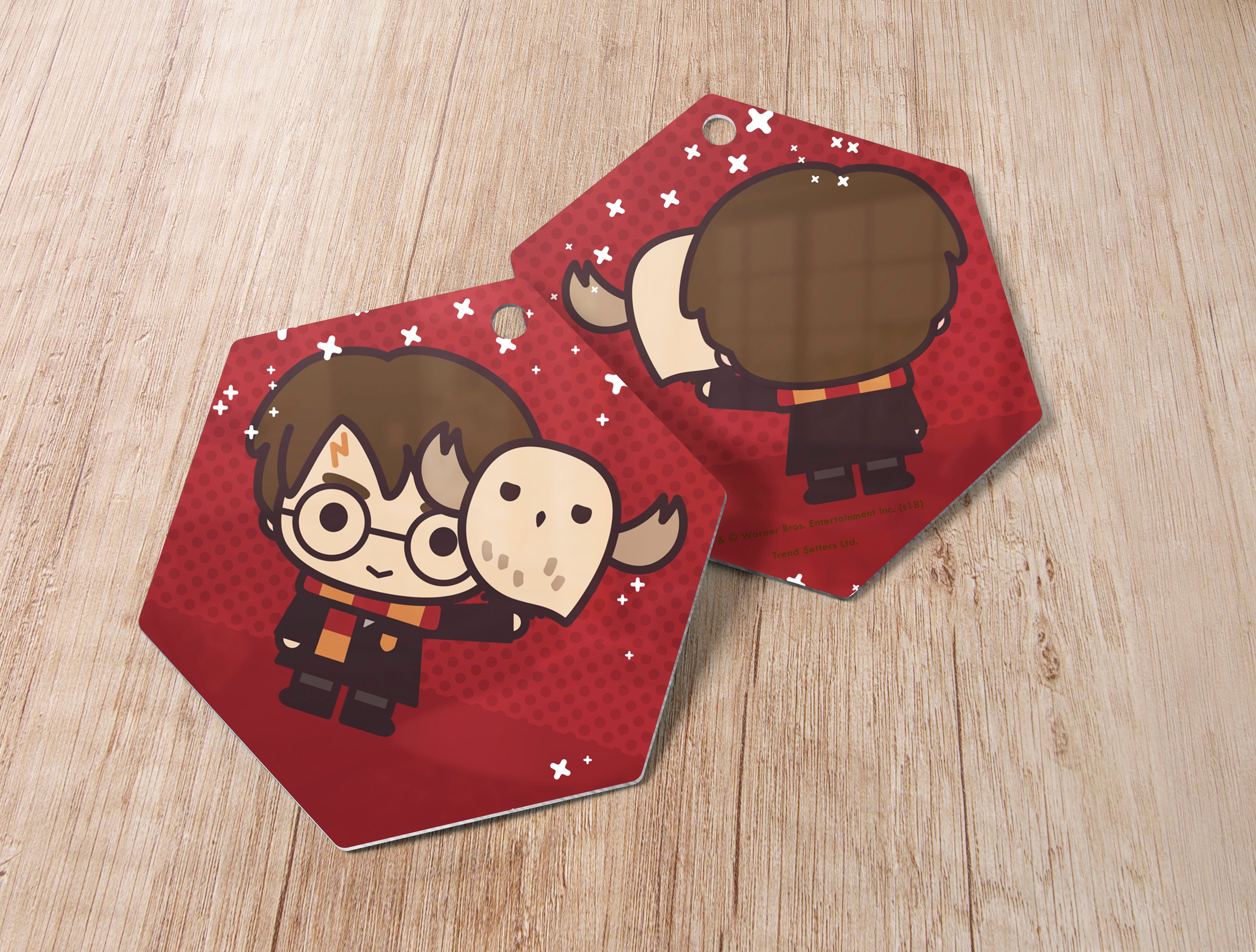 Harry Potter (Harry Potter and Hedwig - Chibi Cartoon) Hanging Metal Print AMHEX094