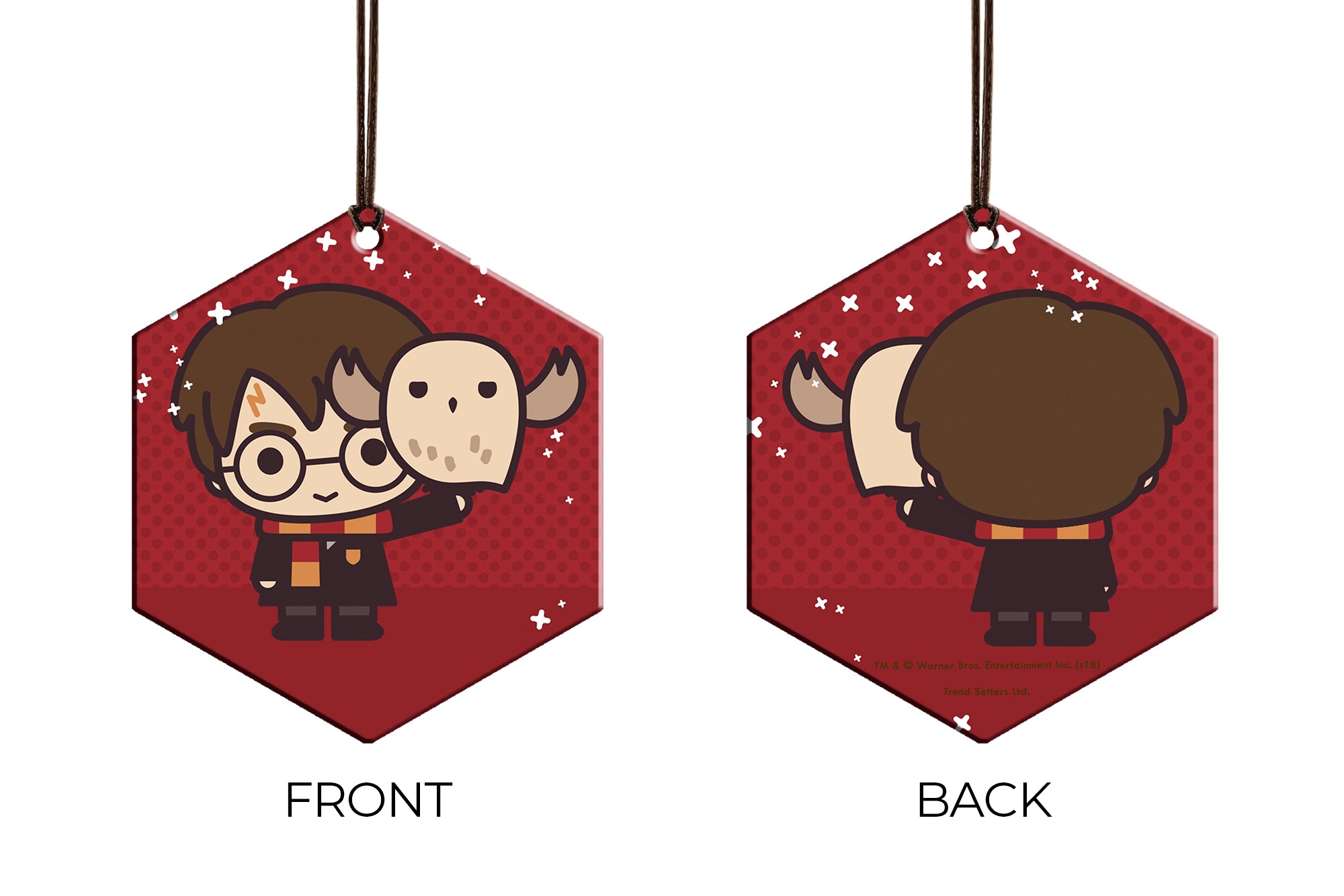 Harry Potter (Harry Potter and Hedwig - Chibi Cartoon) Hanging Metal Print AMHEX094