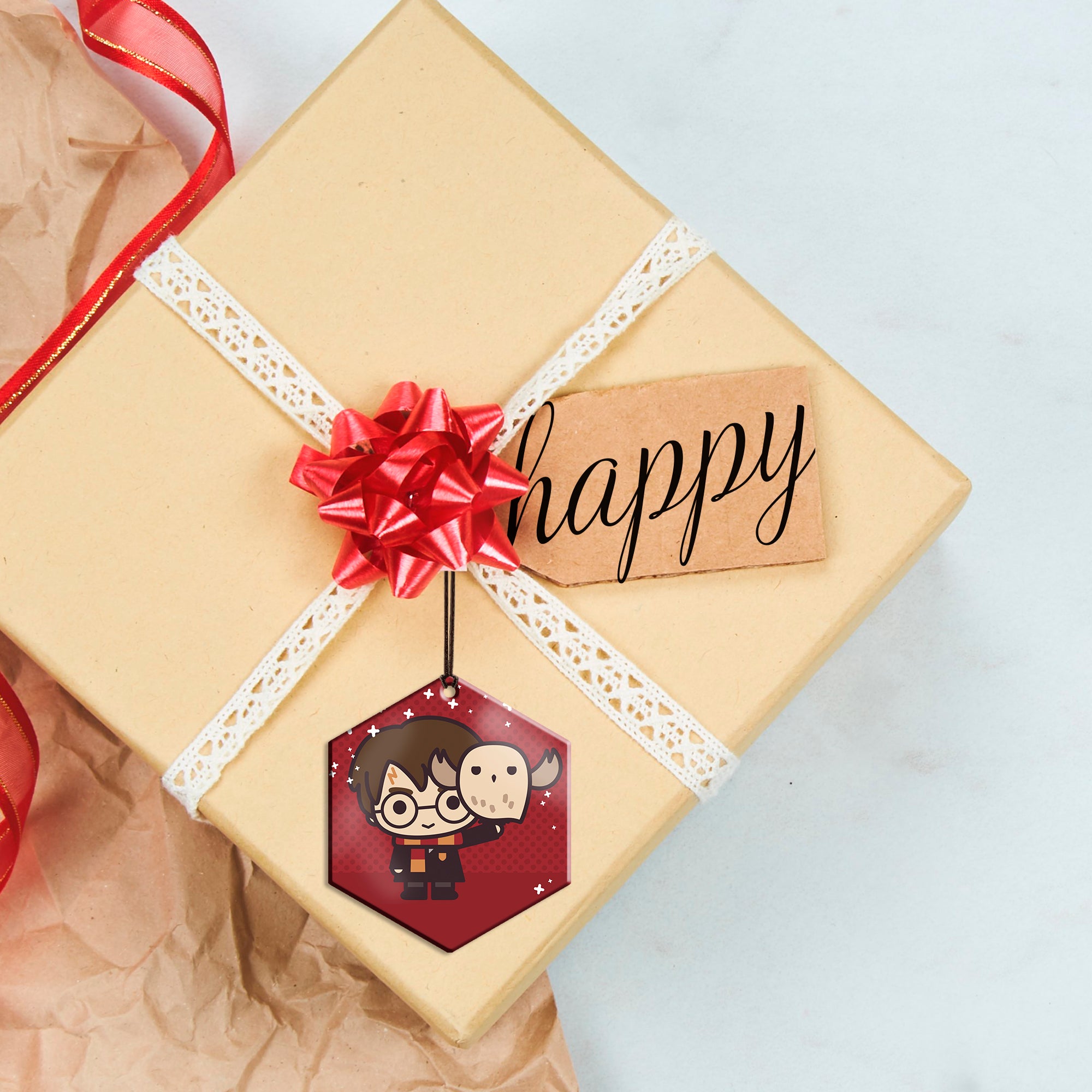 Harry Potter (Harry Potter and Hedwig - Chibi Cartoon) Hanging Metal Print AMHEX094