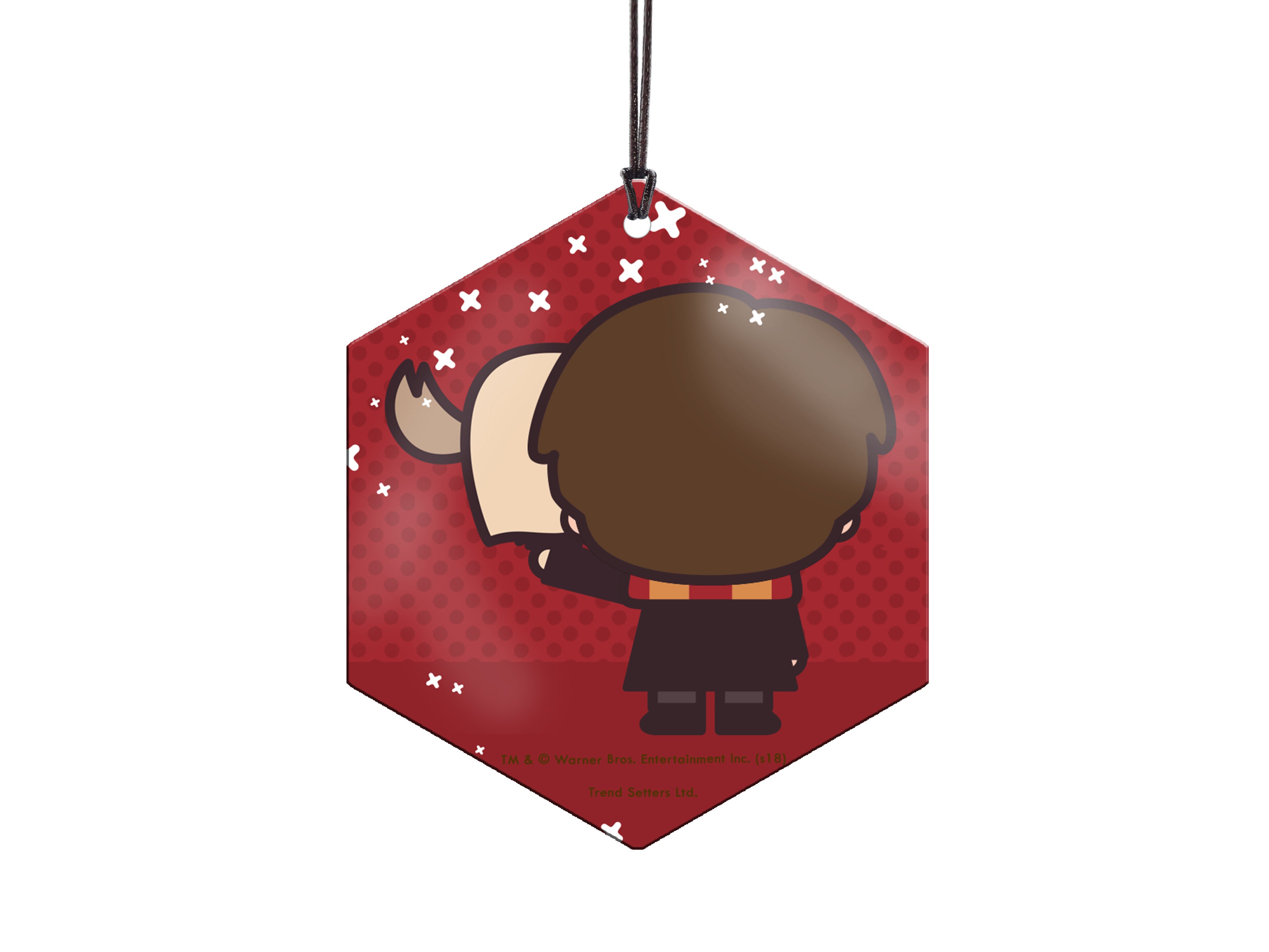 Harry Potter (Harry Potter and Hedwig - Chibi Cartoon) Hanging Metal Print AMHEX094