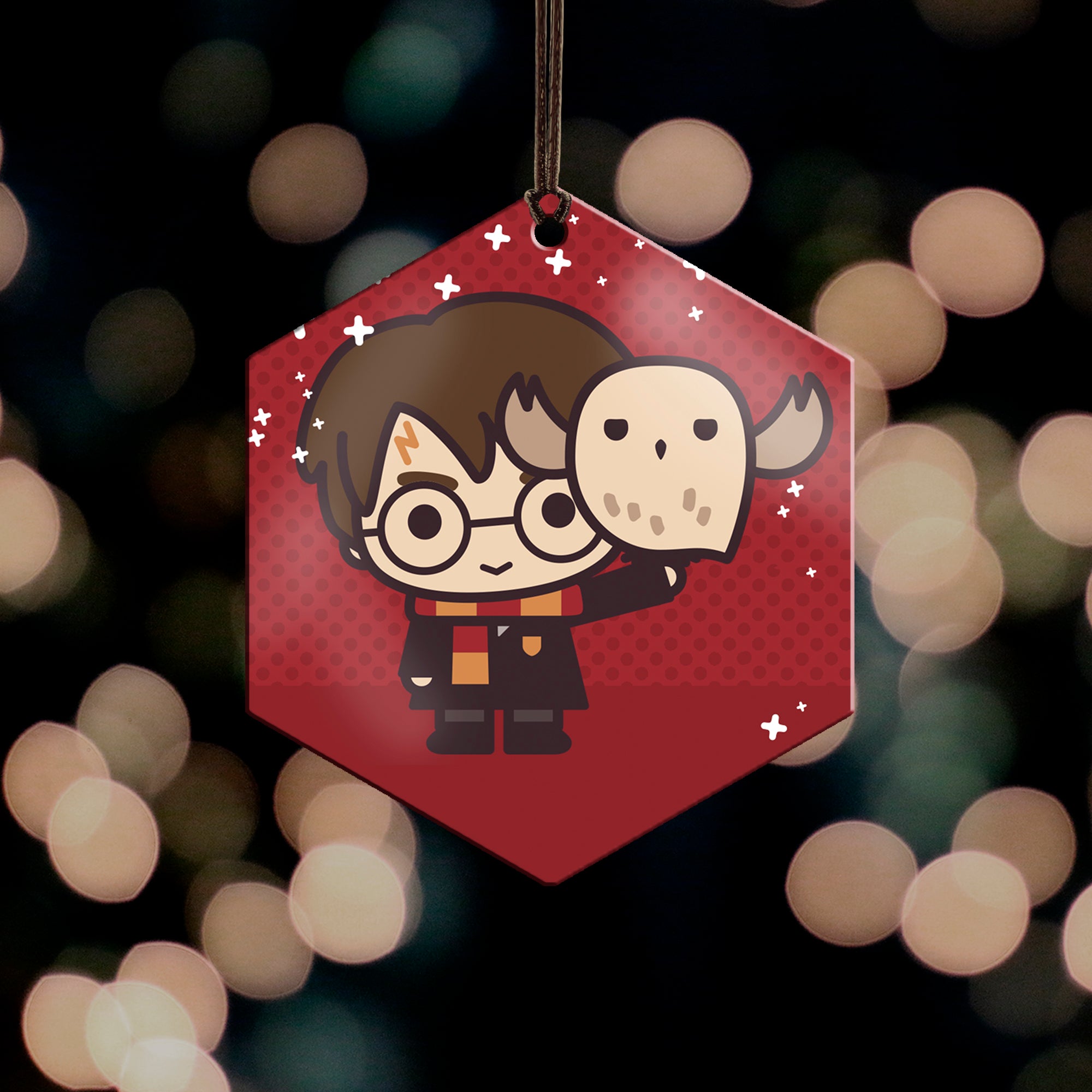 Harry Potter (Harry Potter and Hedwig - Chibi Cartoon) Hanging Metal Print AMHEX094