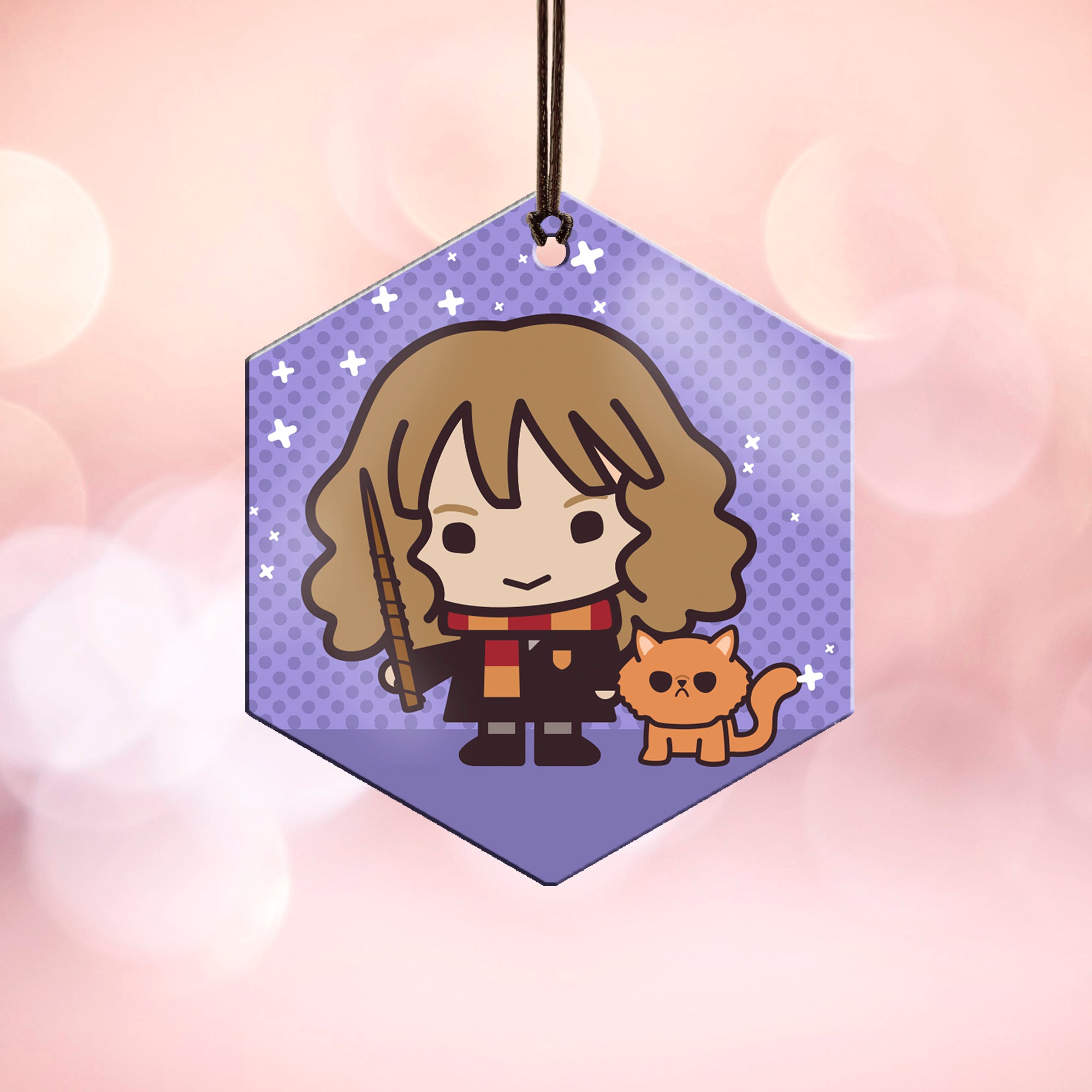 Harry Potter (Hermione Granger and Crookshanks - Chibi Cartoon) Hanging Metal Print AMHEX095