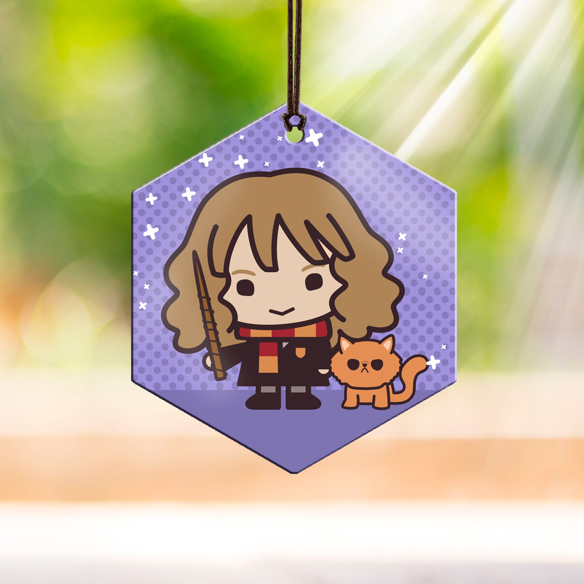 Harry Potter (Hermione Granger and Crookshanks - Chibi Cartoon) Hanging Metal Print AMHEX095