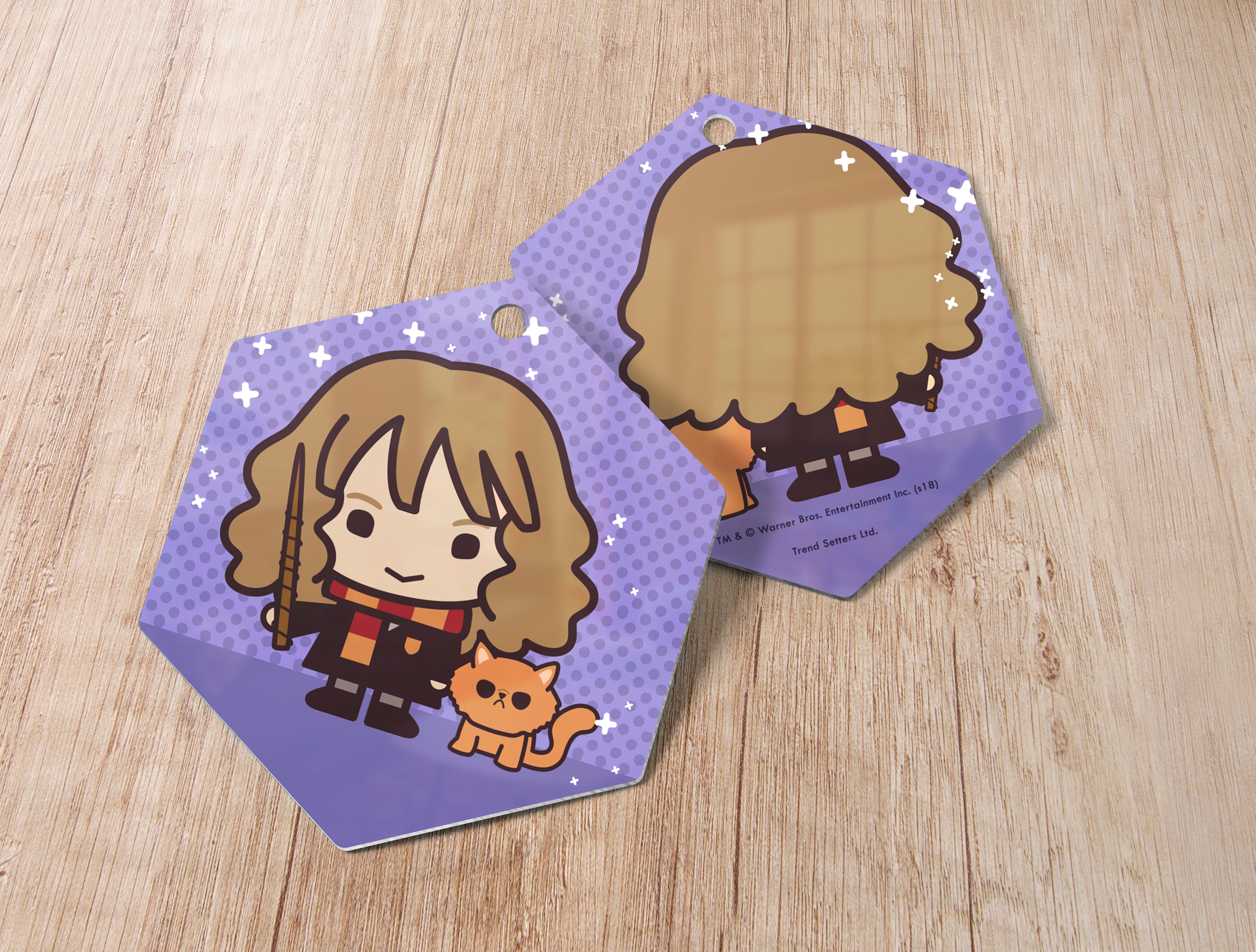 Harry Potter (Hermione Granger and Crookshanks - Chibi Cartoon) Hanging Metal Print AMHEX095