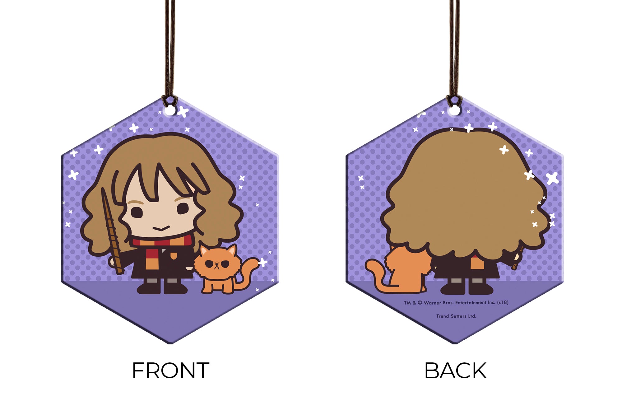 Harry Potter (Hermione Granger and Crookshanks - Chibi Cartoon) Hanging Metal Print AMHEX095