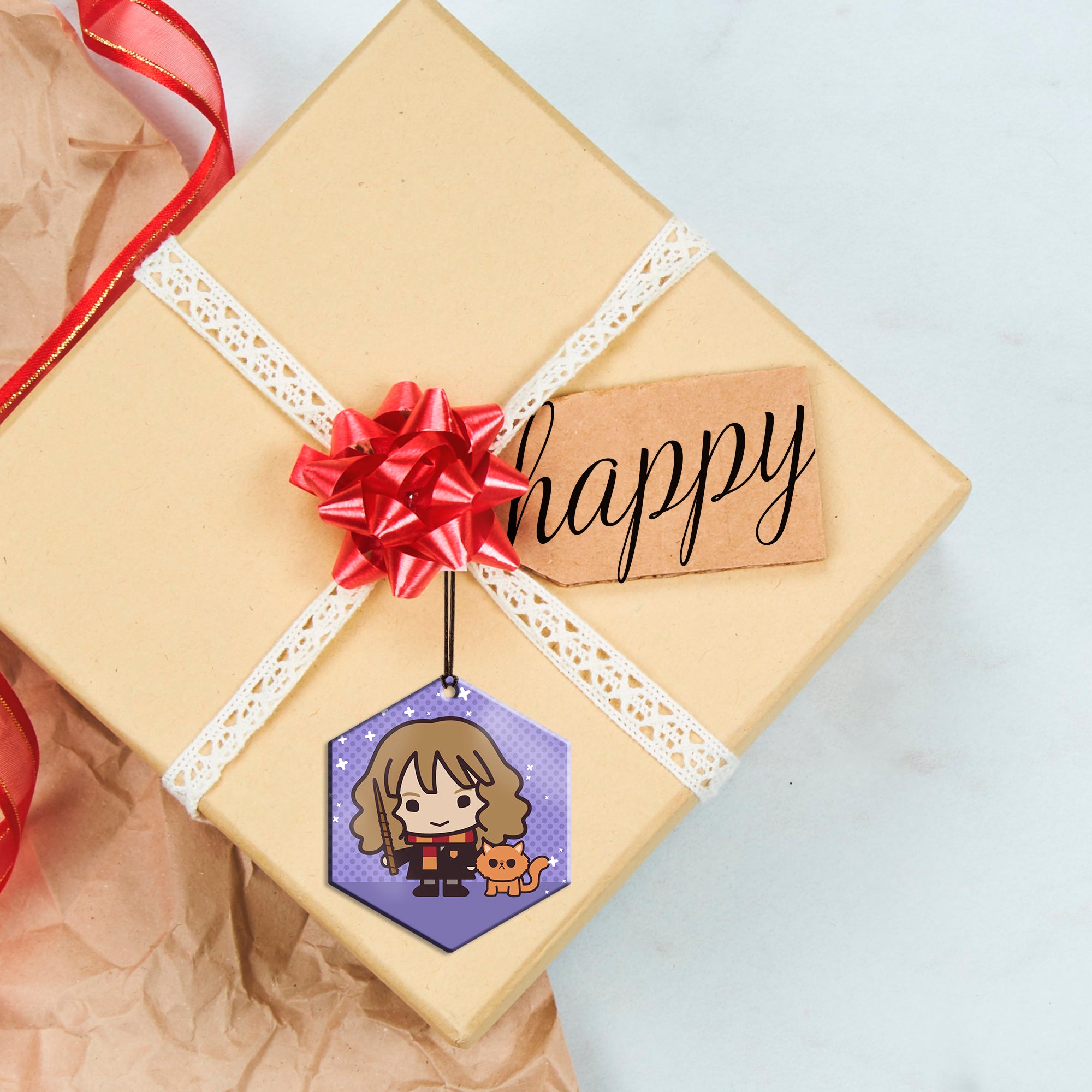 Harry Potter (Hermione Granger and Crookshanks - Chibi Cartoon) Hanging Metal Print AMHEX095