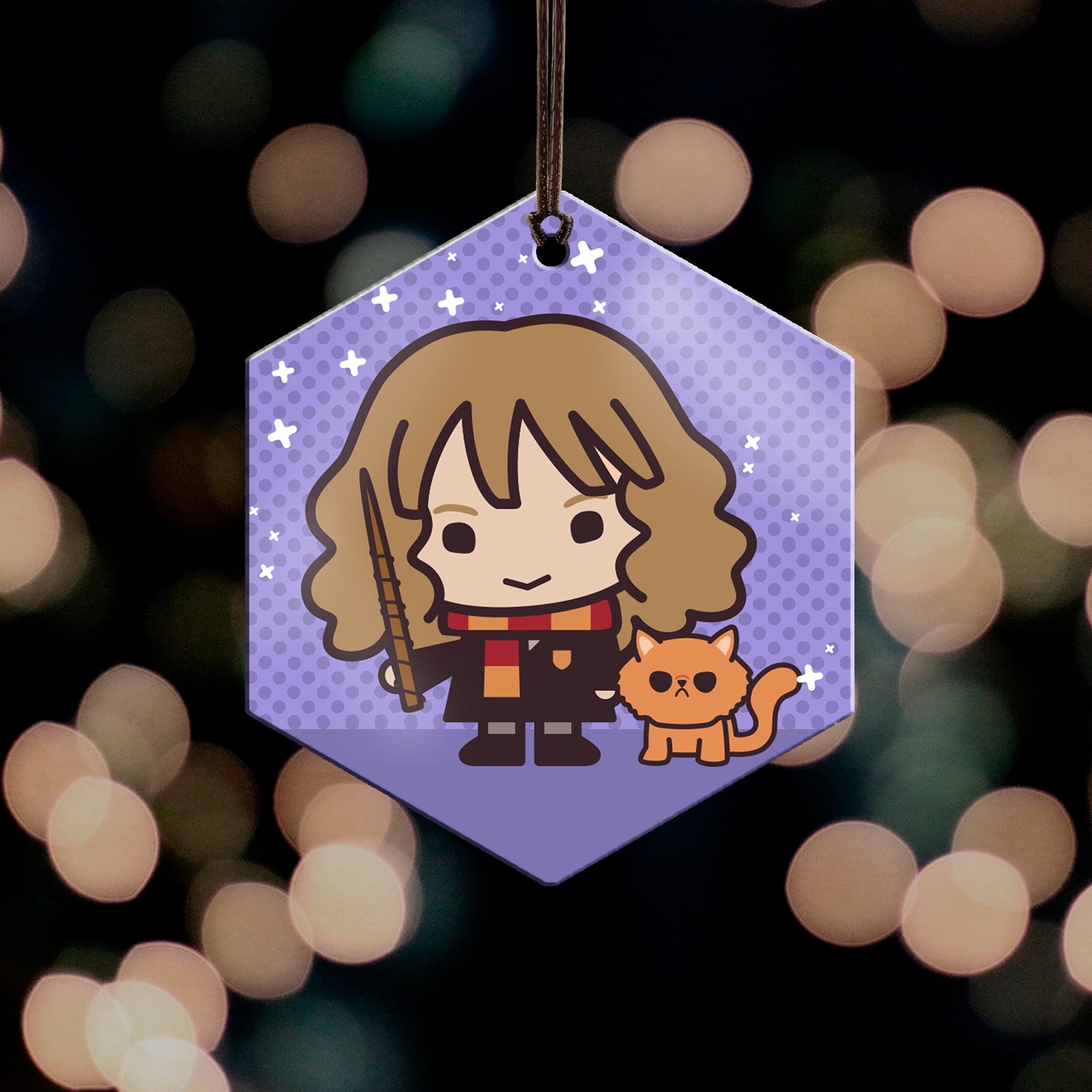 Harry Potter (Hermione Granger and Crookshanks - Chibi Cartoon) Hanging Metal Print AMHEX095