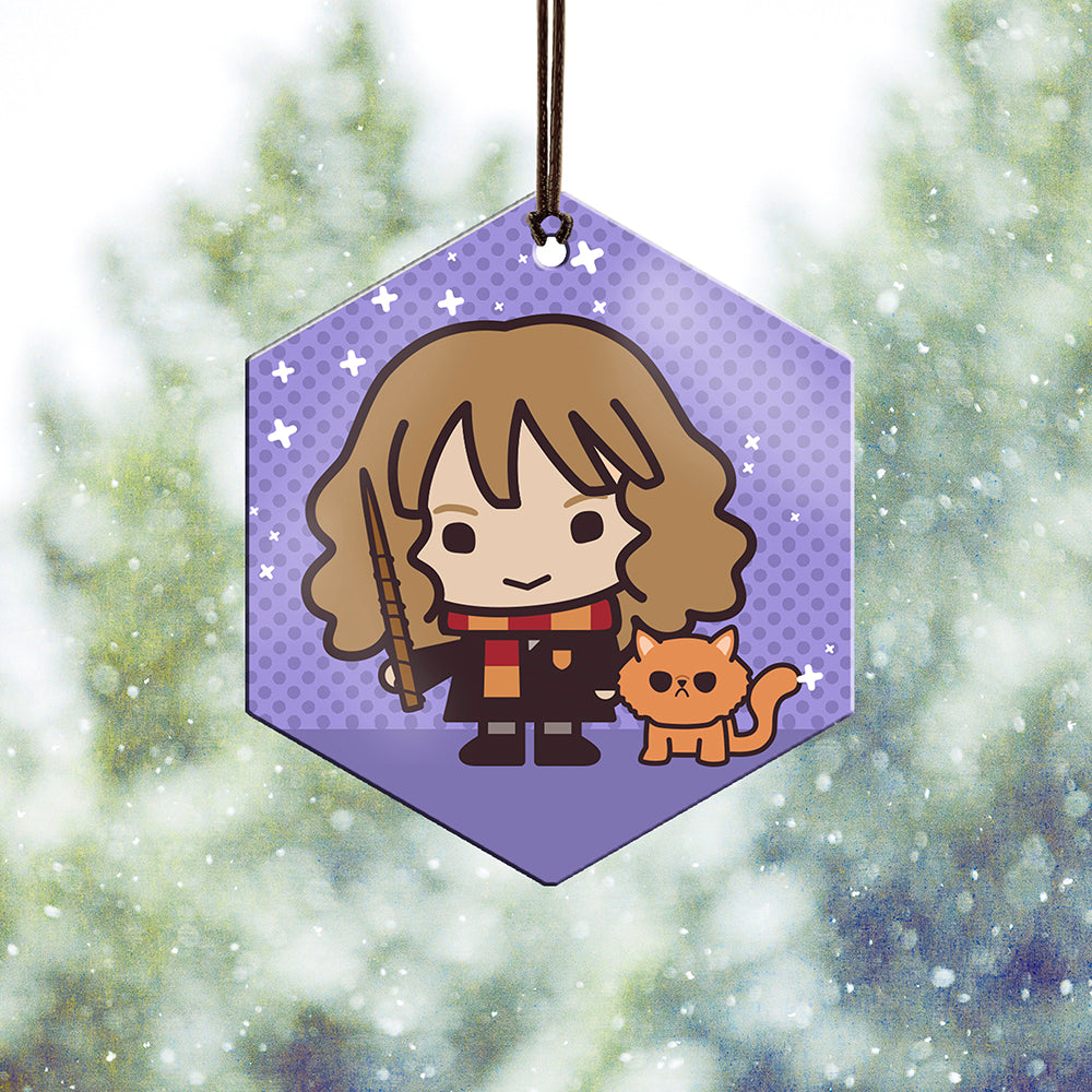 Harry Potter (Hermione Granger and Crookshanks - Chibi Cartoon) Hanging Metal Print AMHEX095