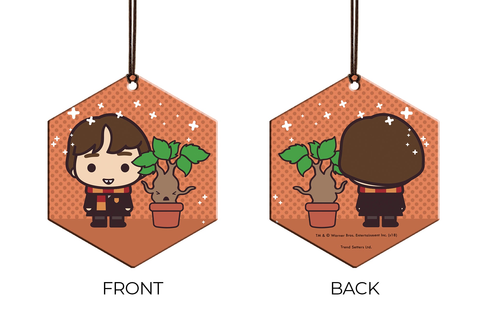 Harry Potter (Neville Longbottom and Mandrake - Chibi Cartoon) Hanging Metal Print AMHEX096