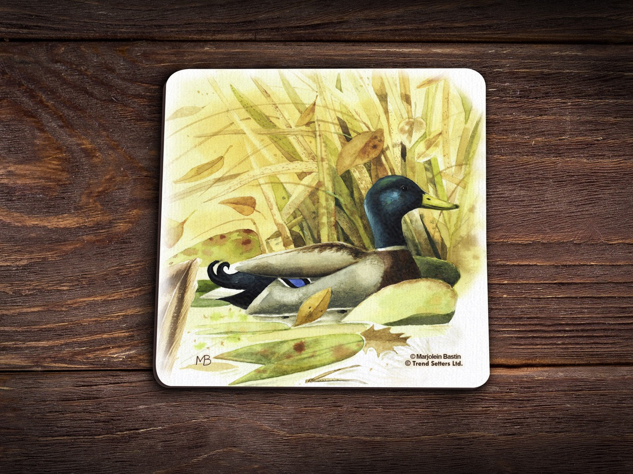 Marjolein Bastin (Animals) Hardboard Coaster Set of Four CSTRHRD040