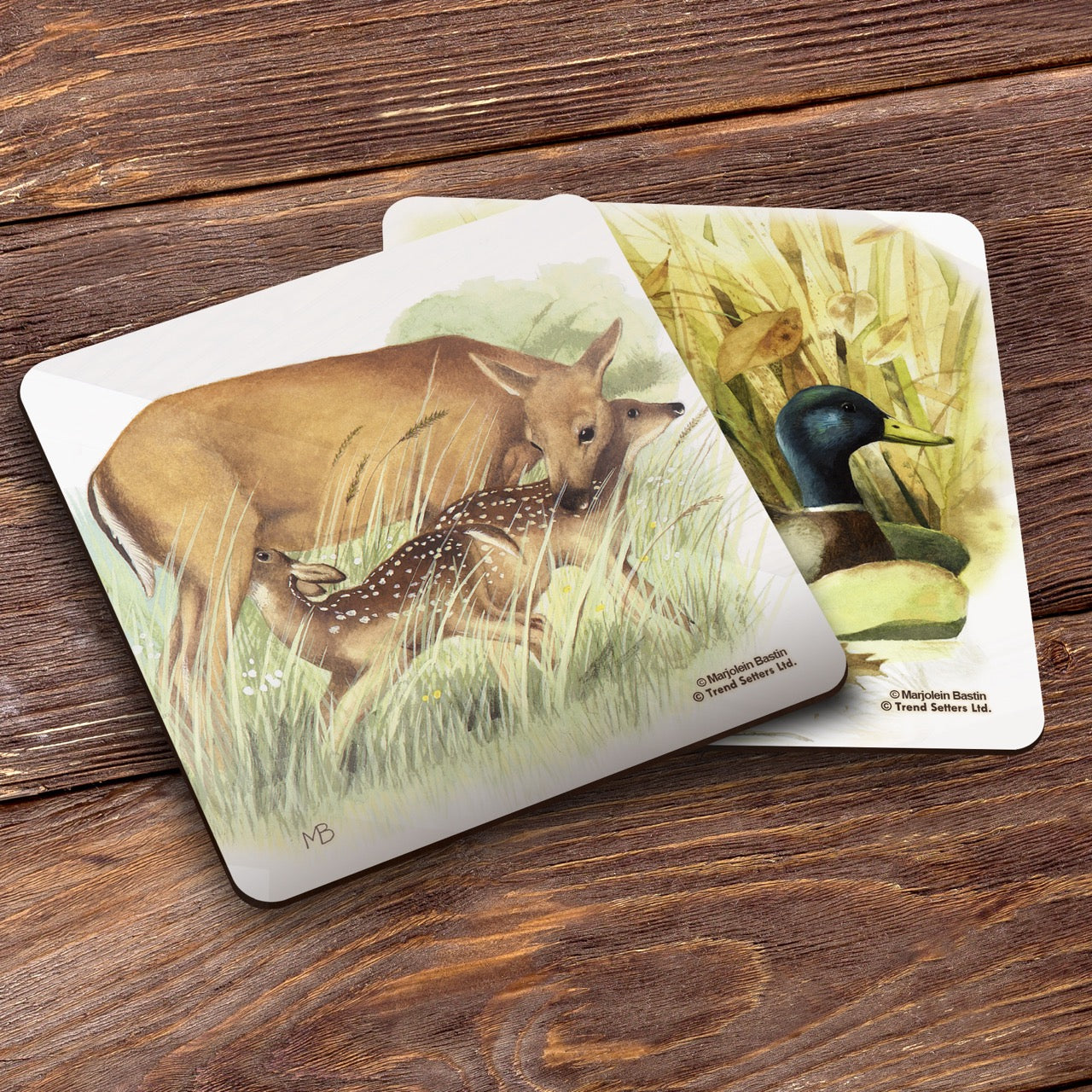 Marjolein Bastin (Animals) Hardboard Coaster Set of Four CSTRHRD040