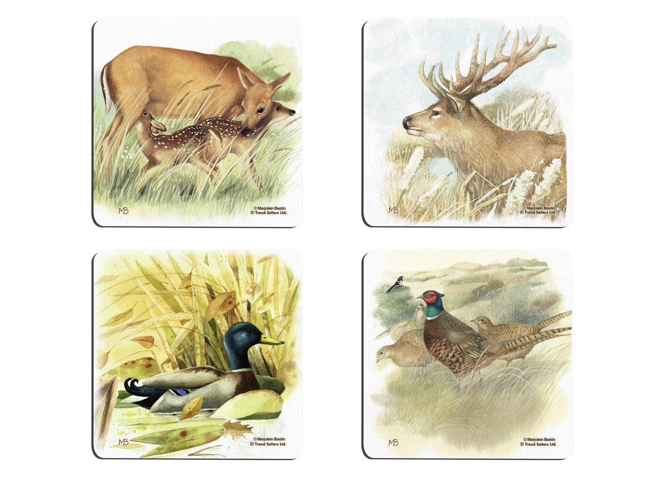 Marjolein Bastin (Animals) Hardboard Coaster Set of Four CSTRHRD040