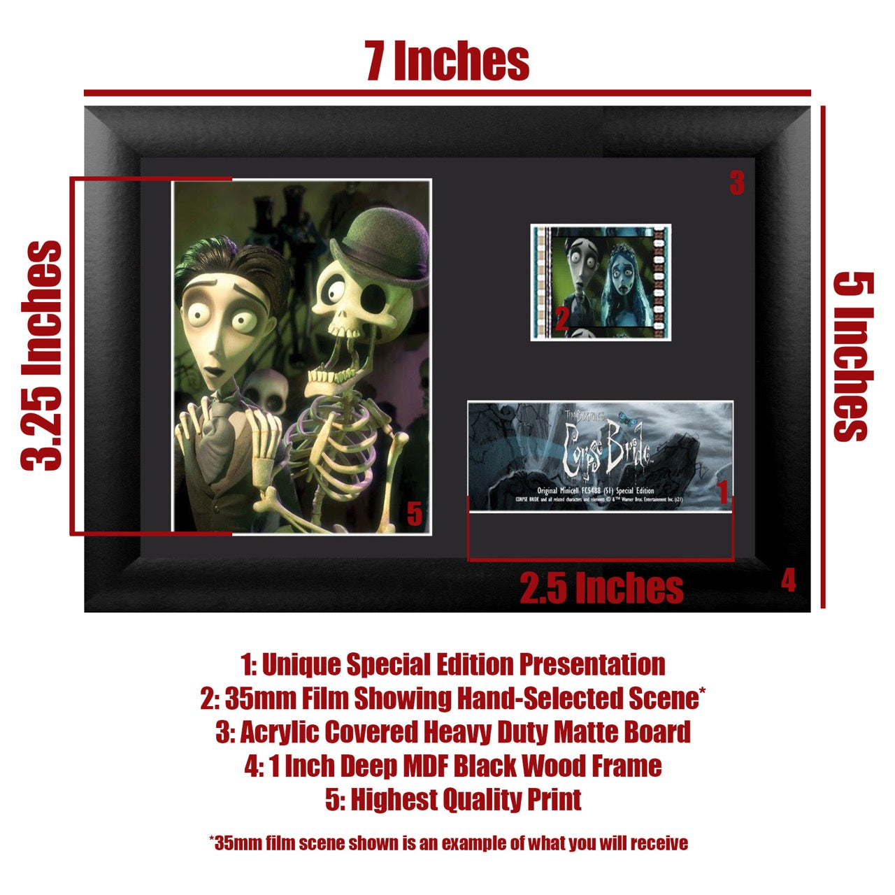 Tim Burtons Corpse Bride (Bonejangles) Minicell FilmCells Framed Desktop Presentation USFC5488
