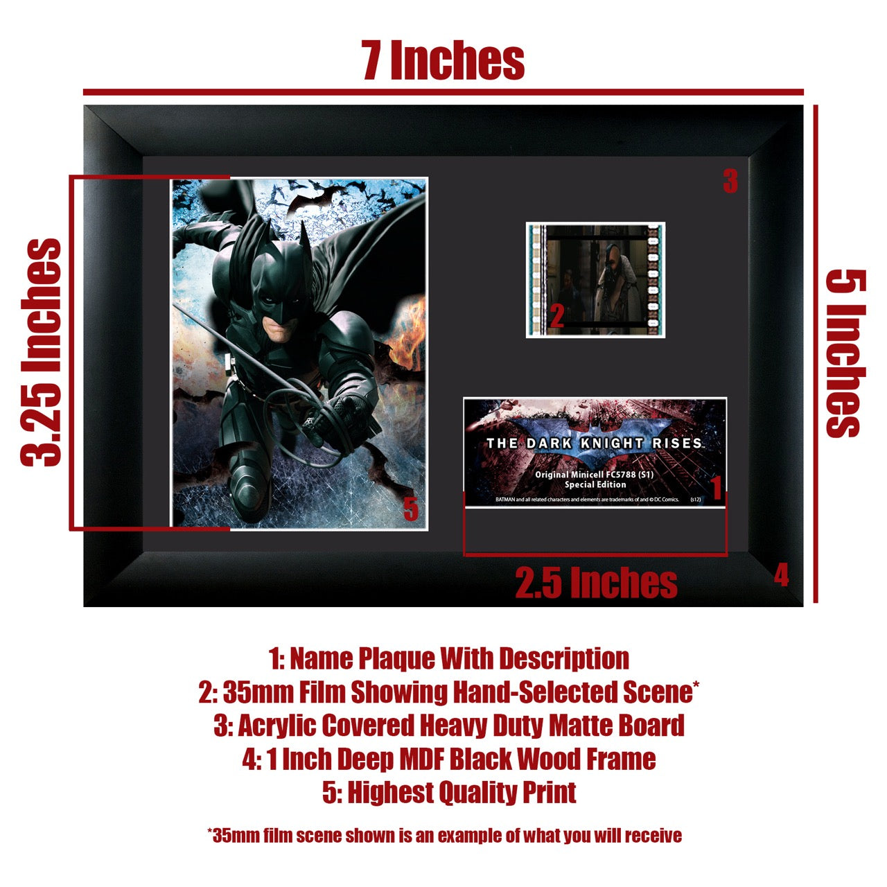 Batman: The Dark Knight Rises (Bats) Minicell FilmCells Framed Desktop Presentation USFC5788