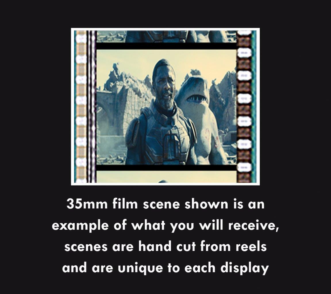 The Suicide Squad (S2) Minicell FilmCells Framed Desktop Presentation USFC6469
