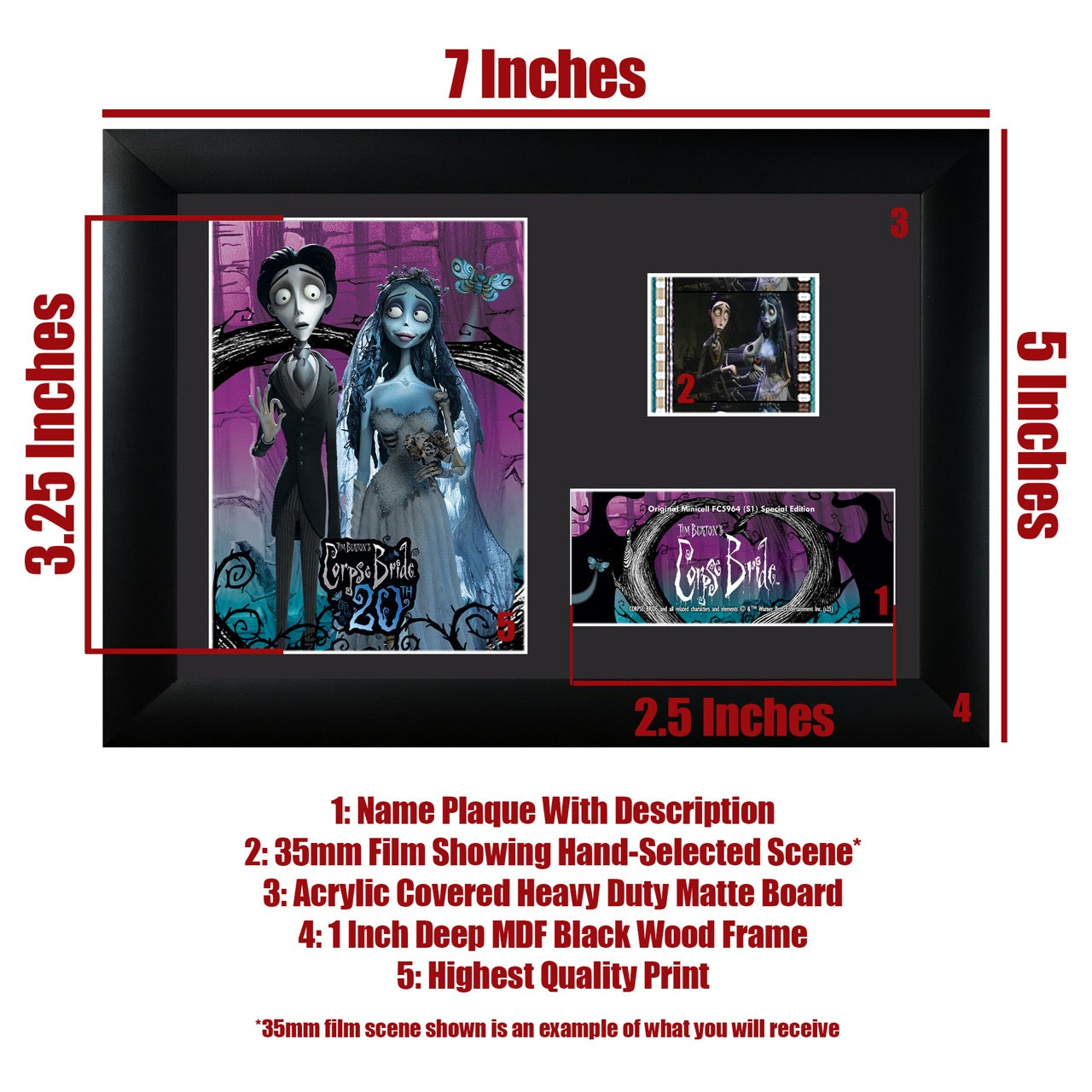 Corpse Bride (20th Anniversary) Minicell FilmCells™ Framed Desktop Presentation USFC6596