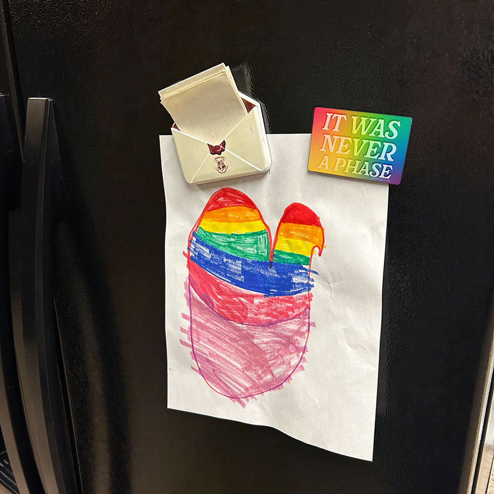 Trend Setters Original (It Was Never a Phase Pride) Hardboard Rectangle Magnet HBDMH060