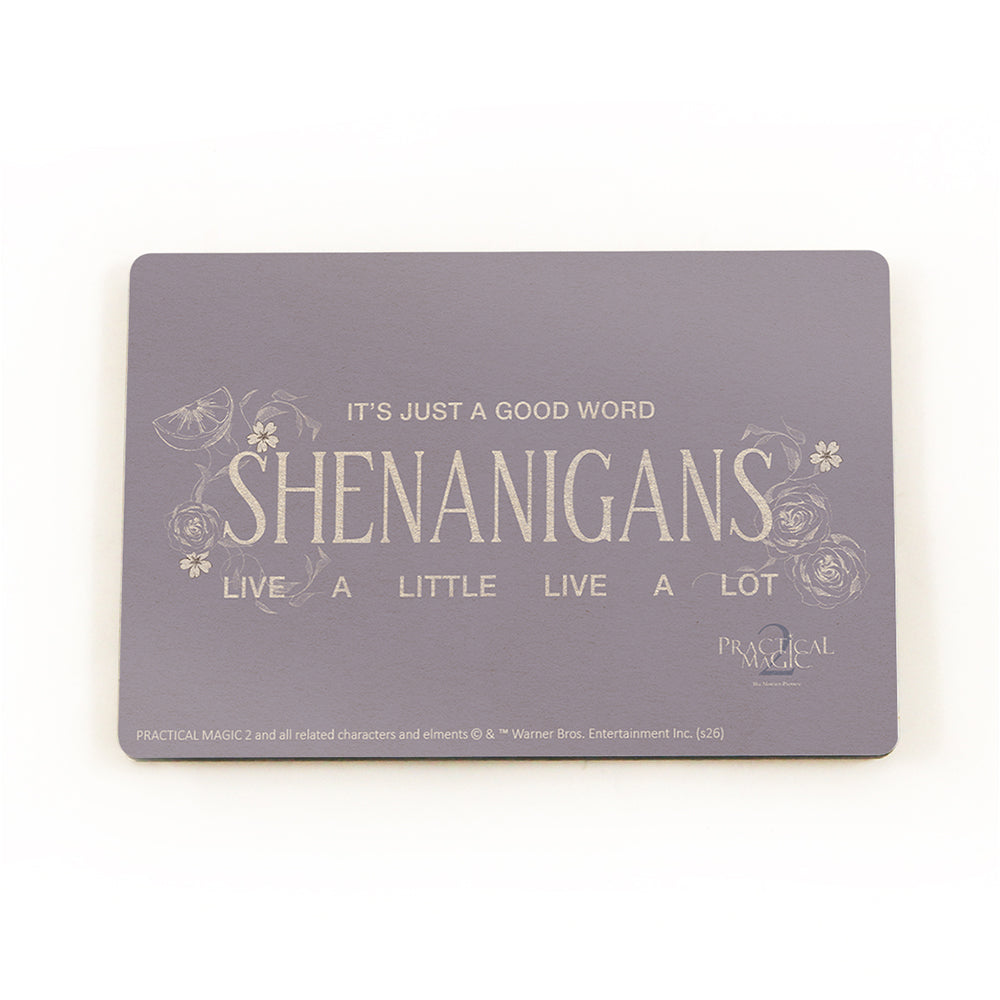 Practical Magic 2 (Shenanigans) 2.8” x 1.8” Hardboard Rectangle Magnet HBDMH062