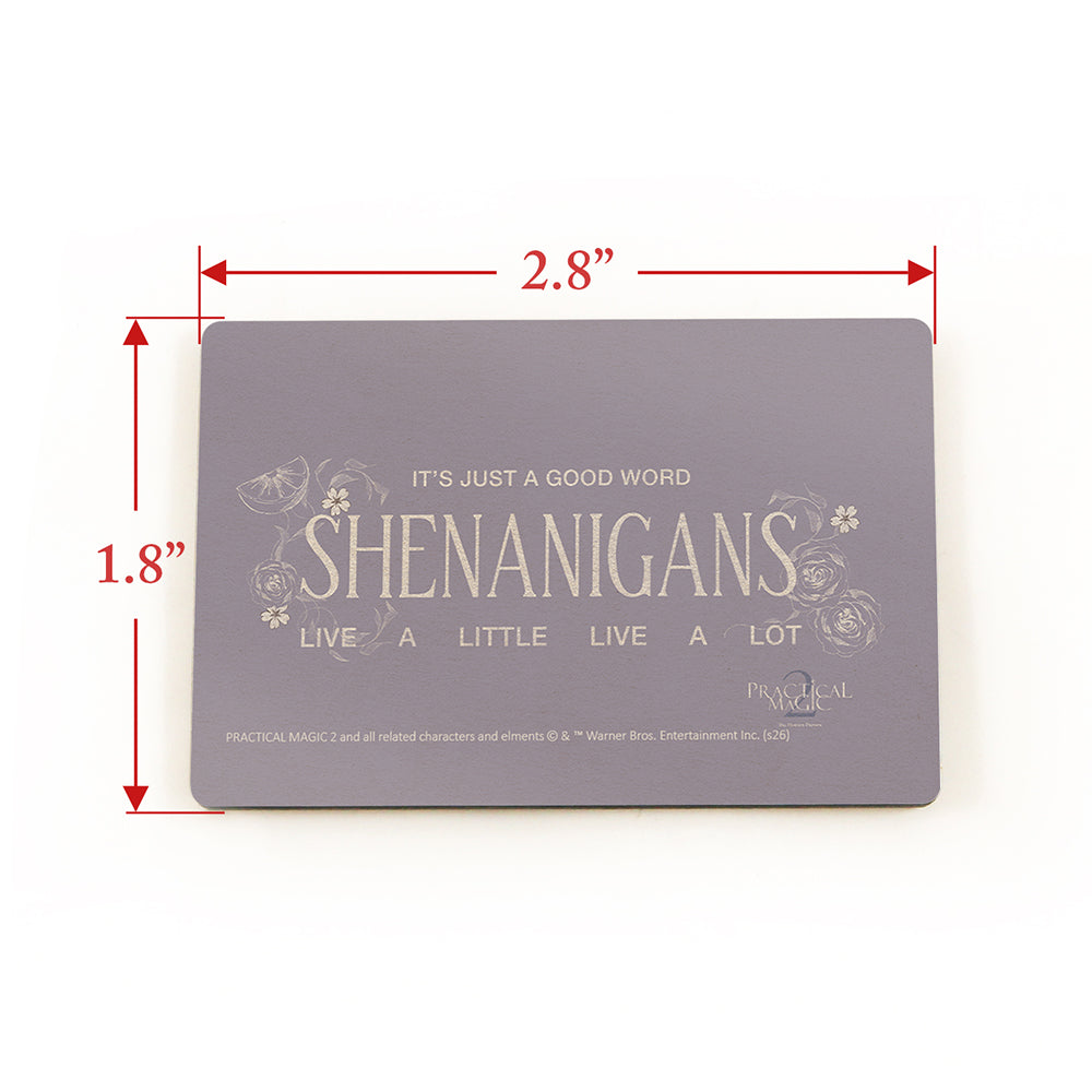 Practical Magic 2 (Shenanigans) 2.8” x 1.8” Hardboard Rectangle Magnet HBDMH062
